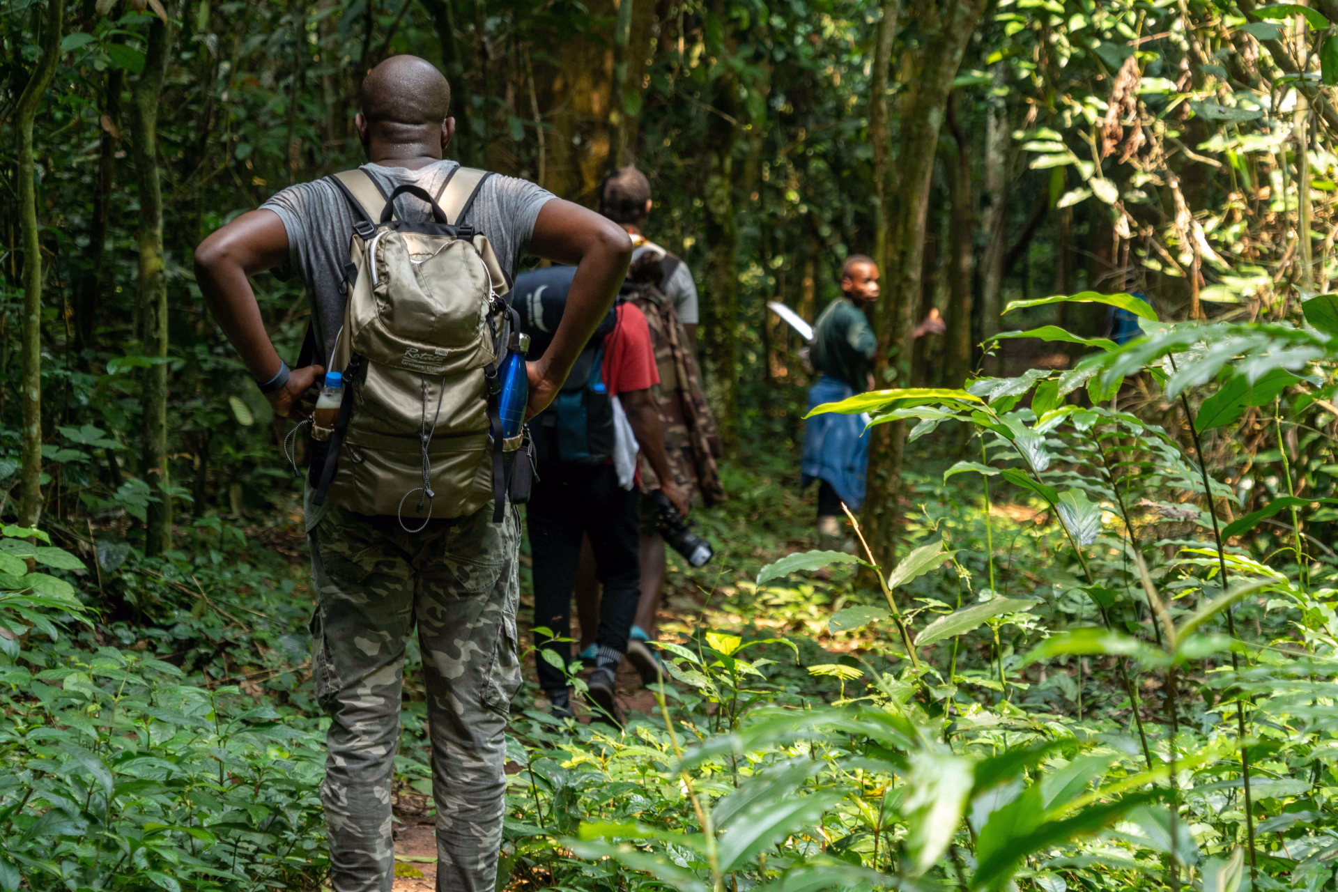 Multiactivités et rencontre avec les gorilles au Congo