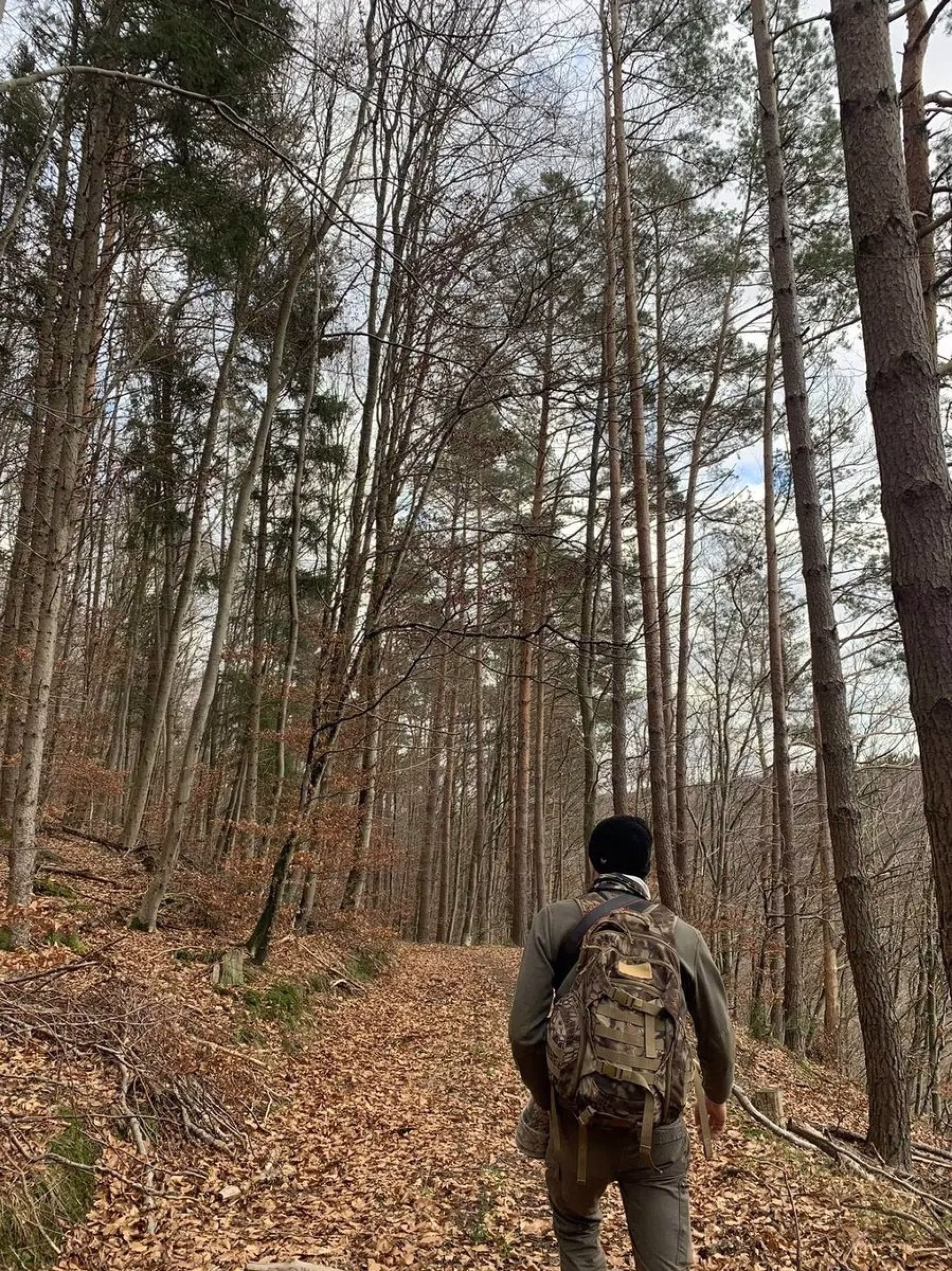 Randonnée et observation de la faune sauvage dans les Vosges