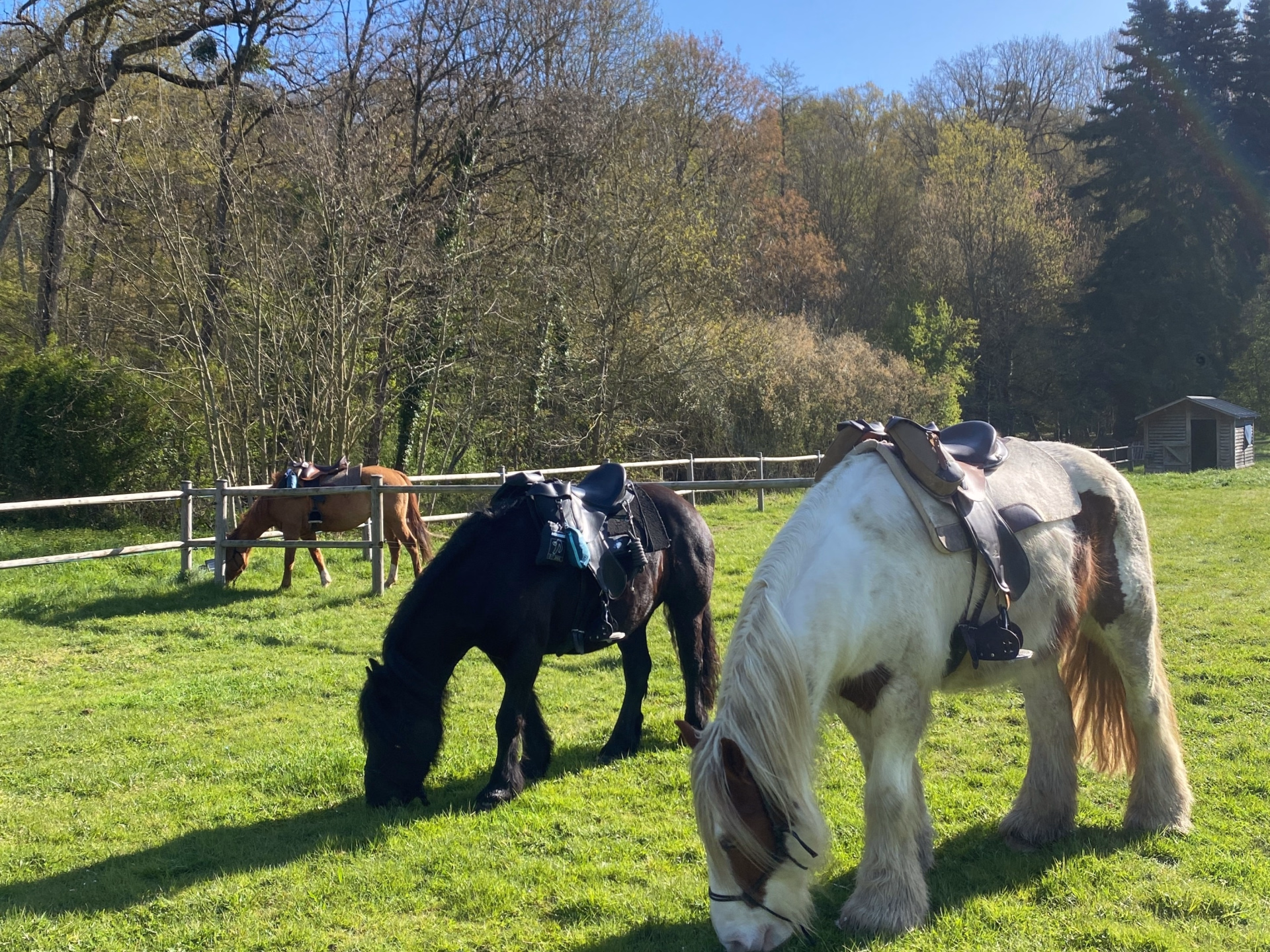 Week-end en Touraine à cheval entre châteaux et vignes