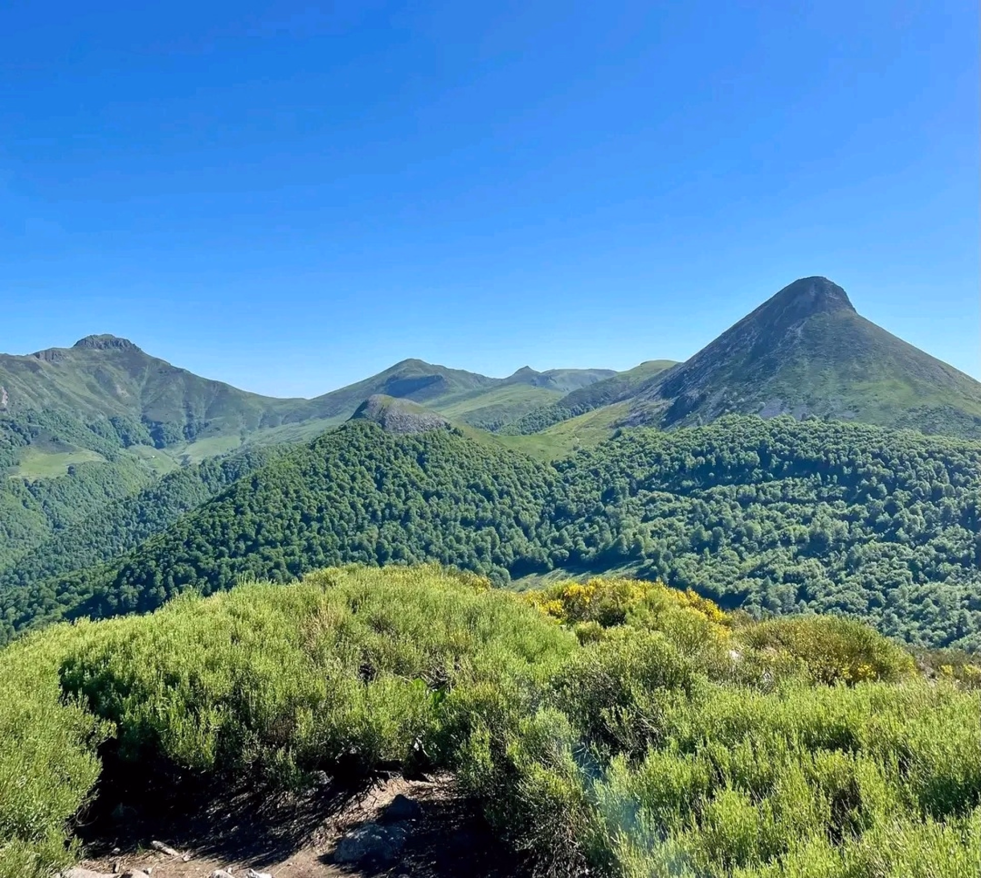 Randonnées pédestres sur le grand volcan du Cantal