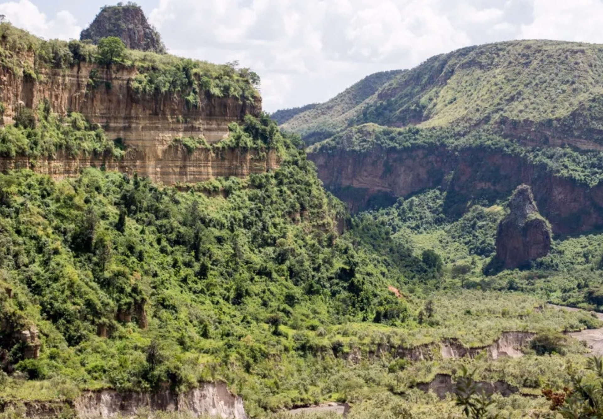 Safari de 5 jours en lodge au Kenya