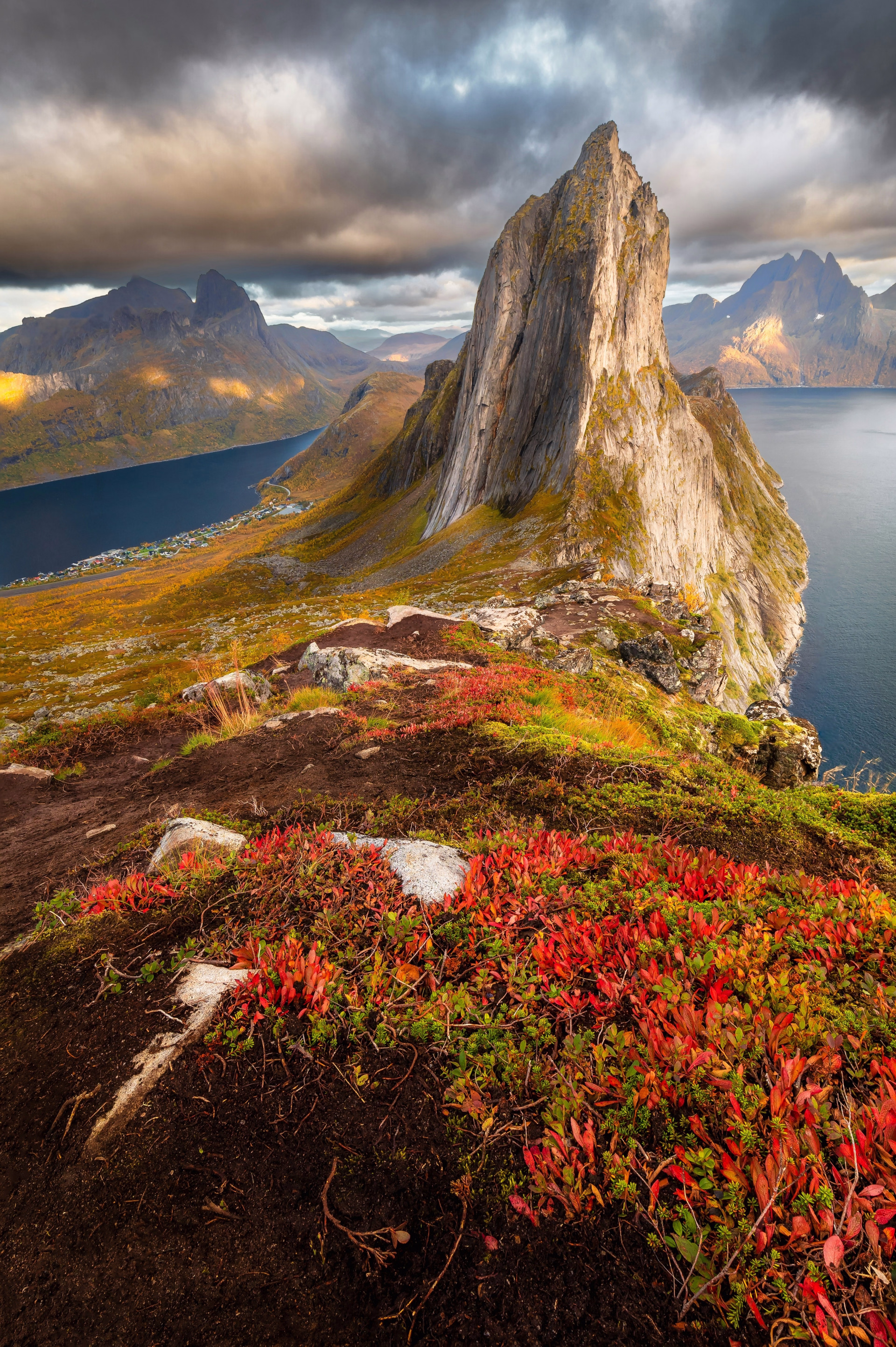 La Trilogie automnale - Sommarøy, Senja et Tromsø