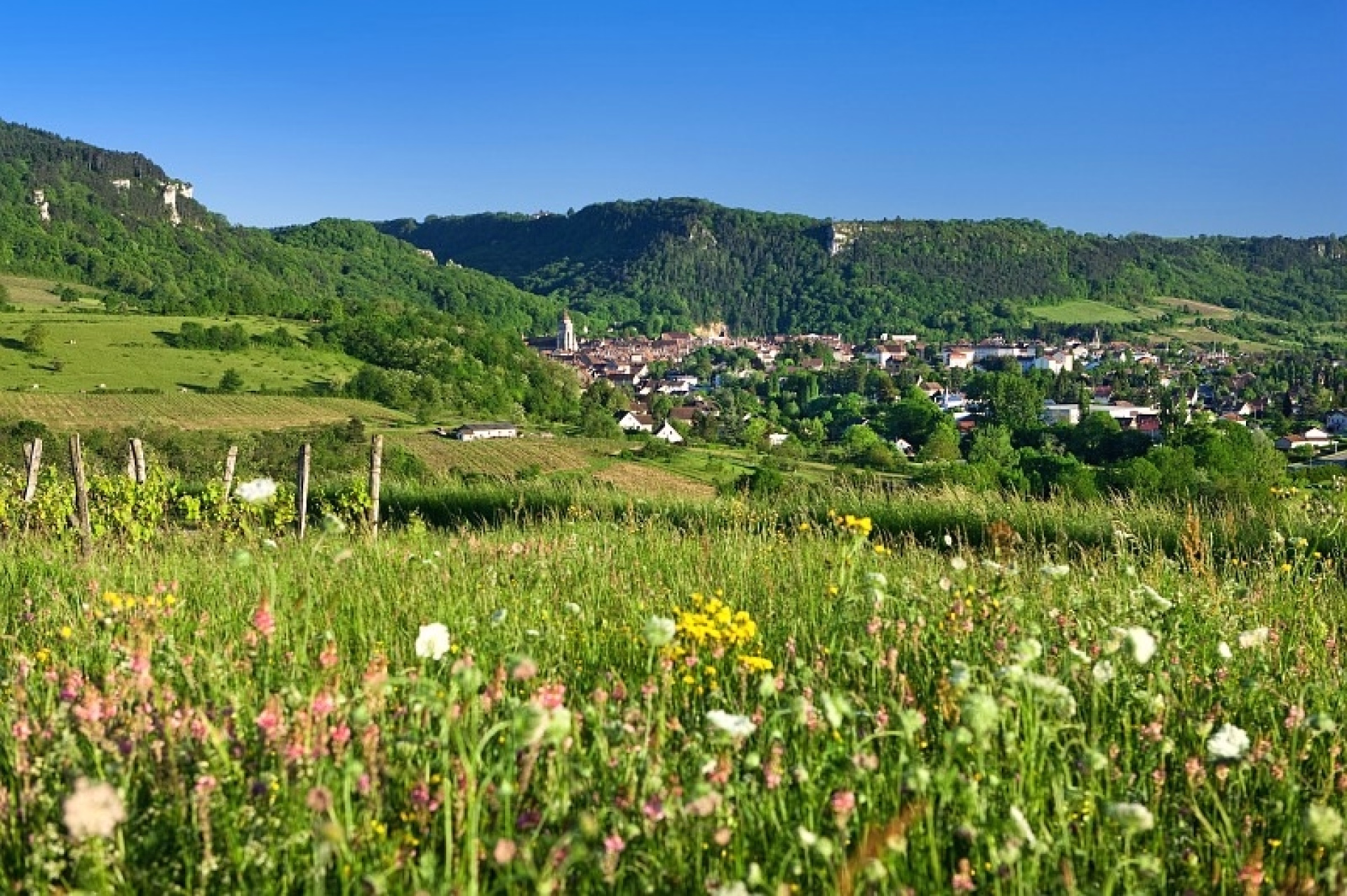 Randonnée dans les vignobles du Jura