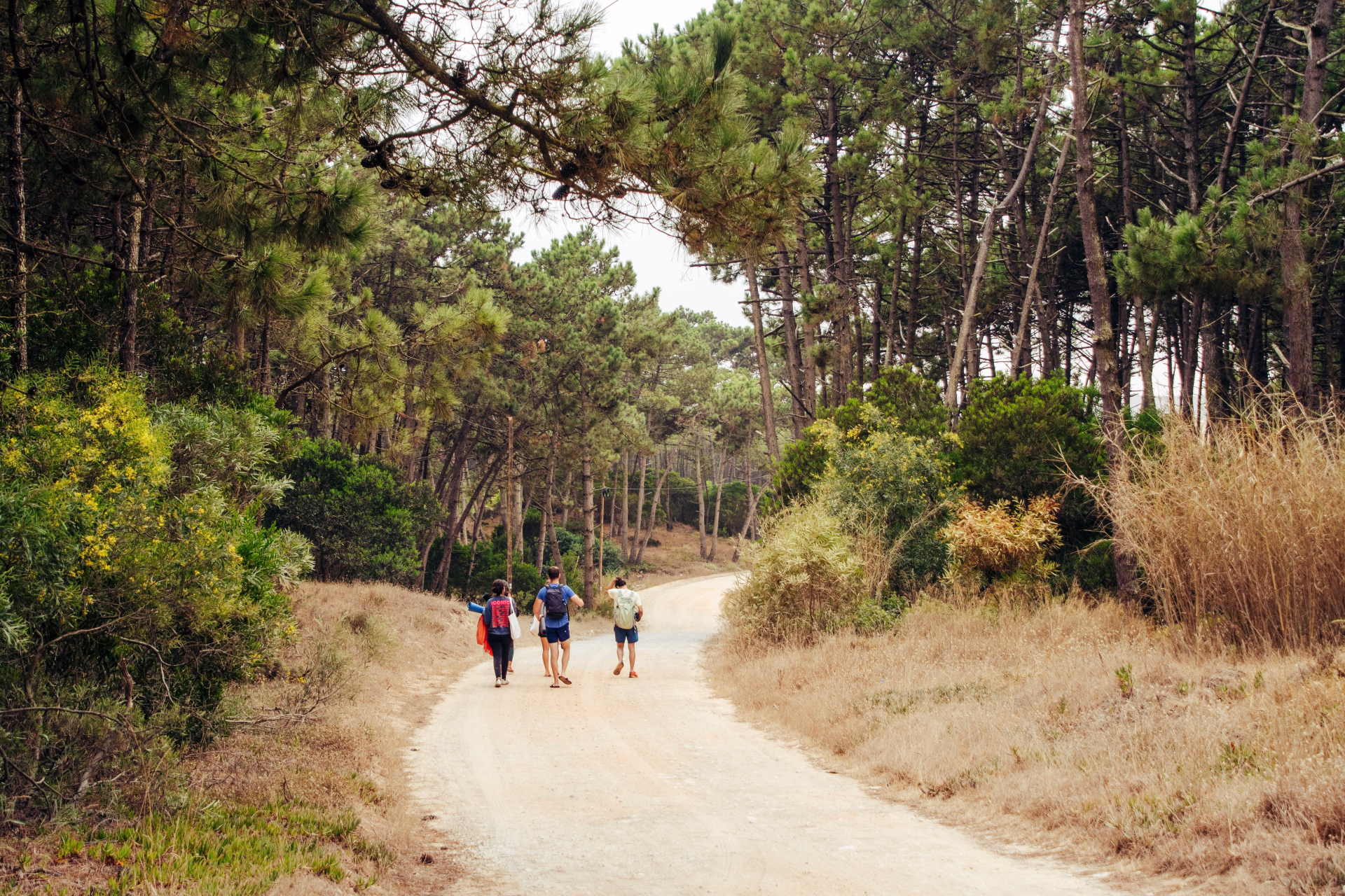 Formule Surf & Yoga à Peniche