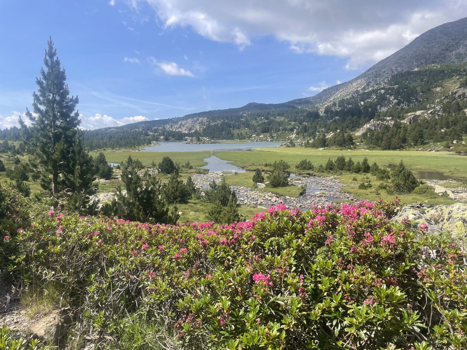 Rando équestre des lacs des Pyrénées Catalanes