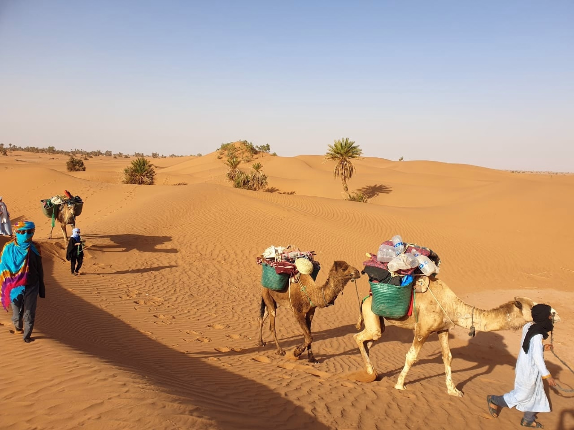 Trek de 3 jours dans le désert : sur la route des anciennes caravanes
