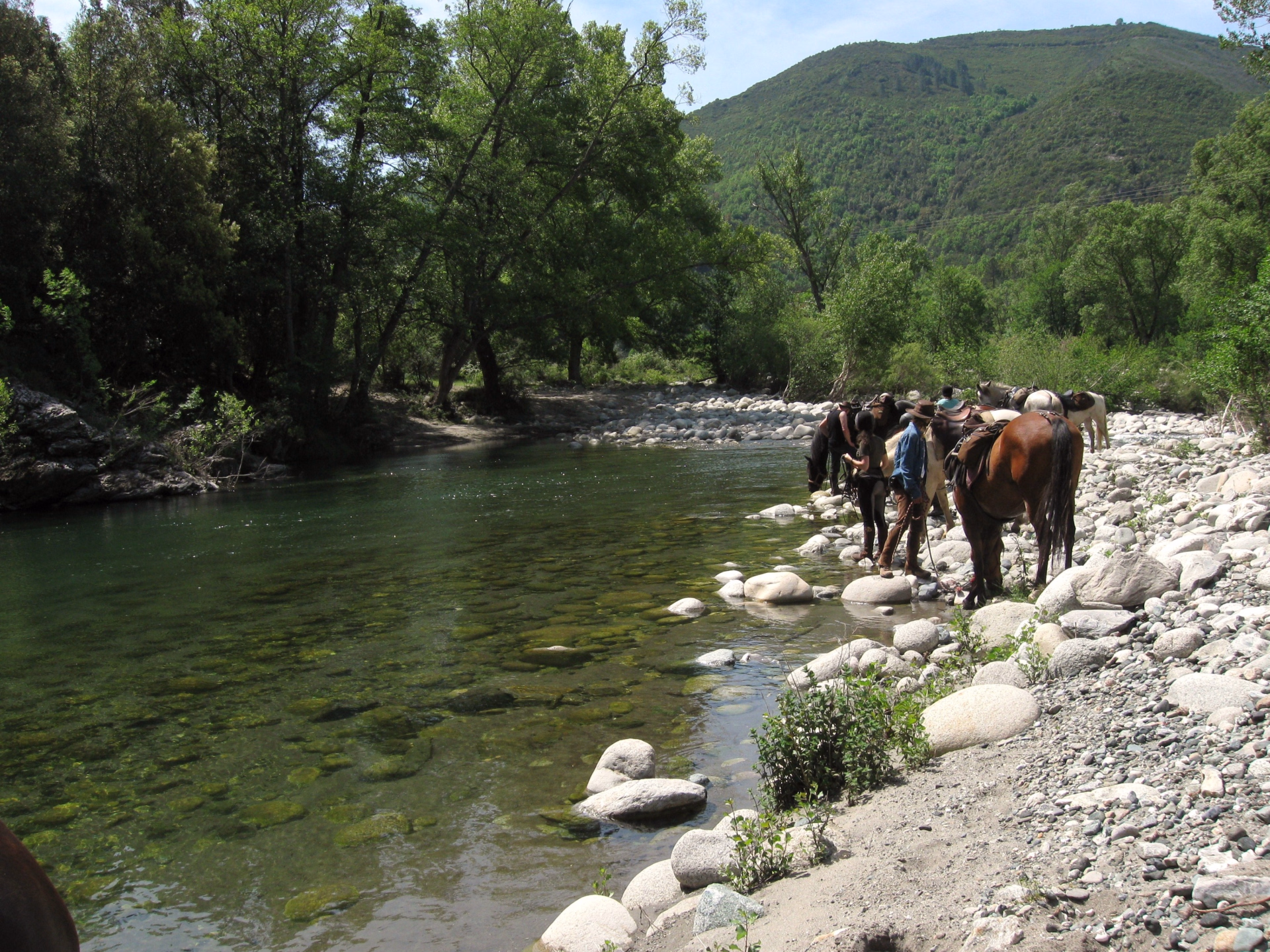 Initiation à la randonnée équestre en Corse
