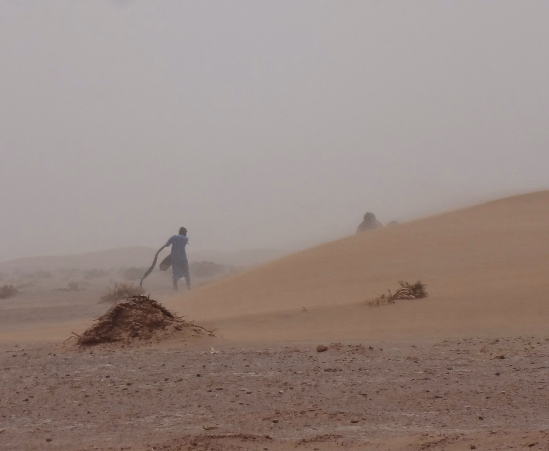 Trek de 3 jours dans le désert : sur la route des anciennes caravanes