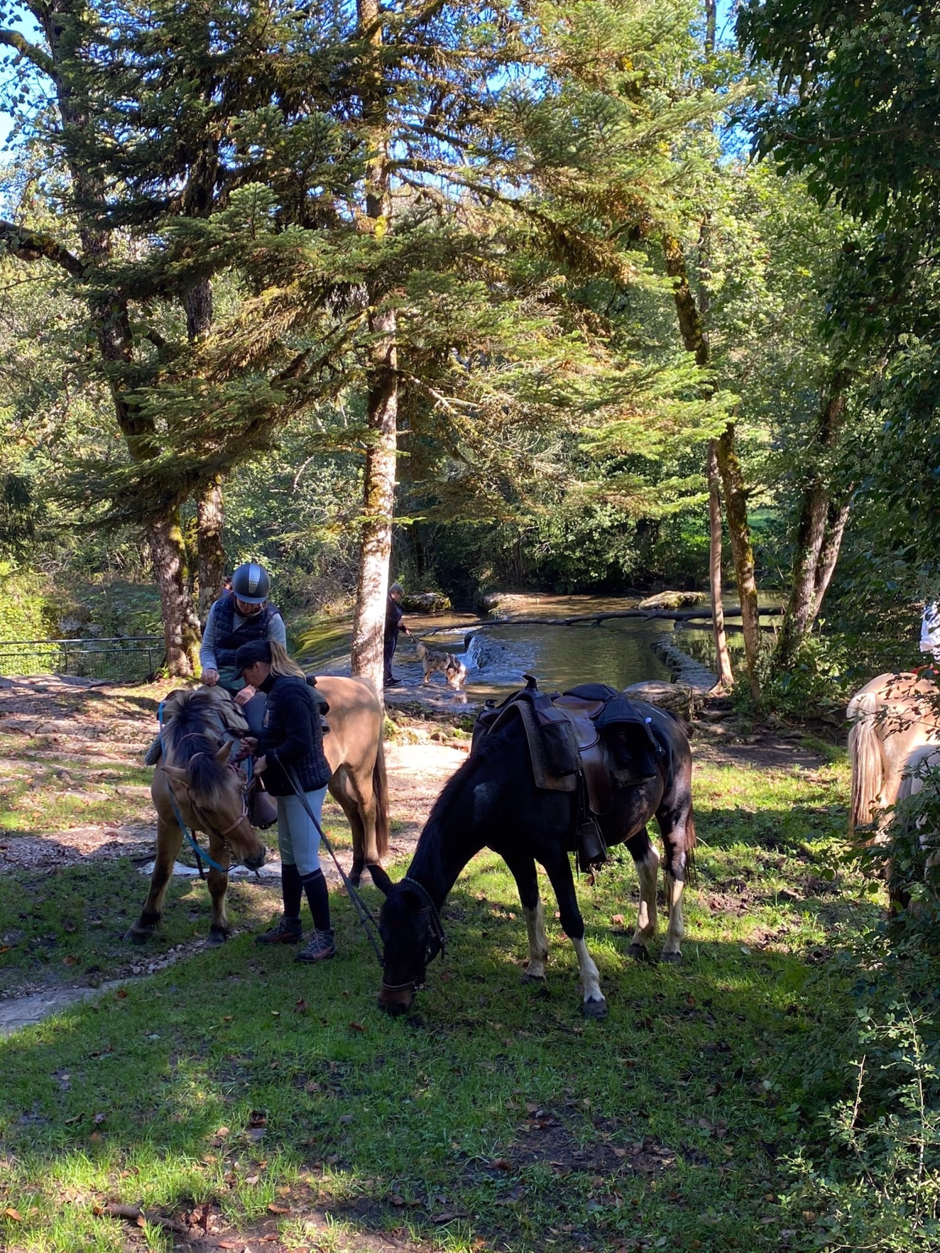 Week-end randonnée équestre au cœur du Haut-Jura