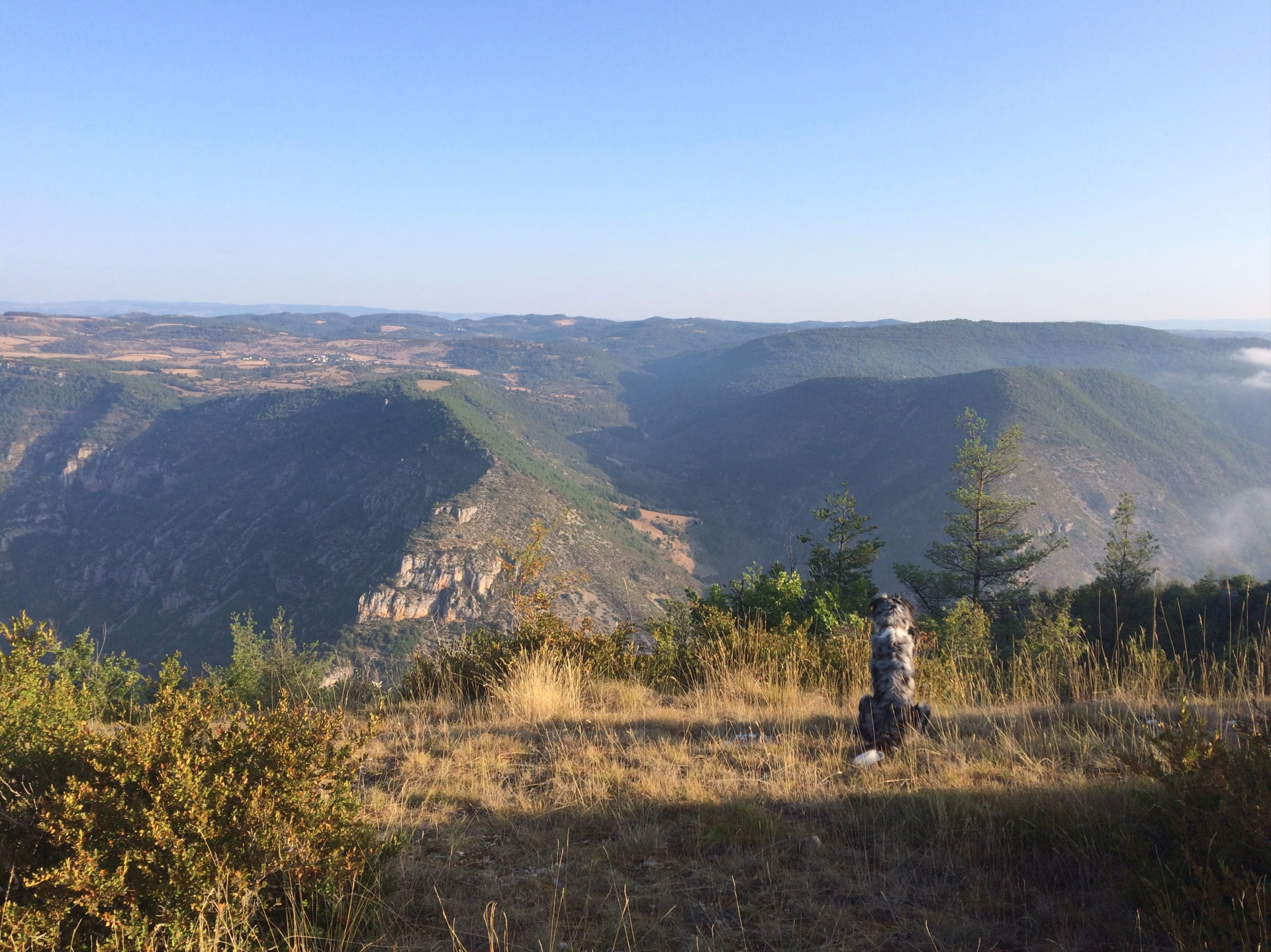 Le GR736 Les Gorges du Tarn de la Lozère à l'Aveyron