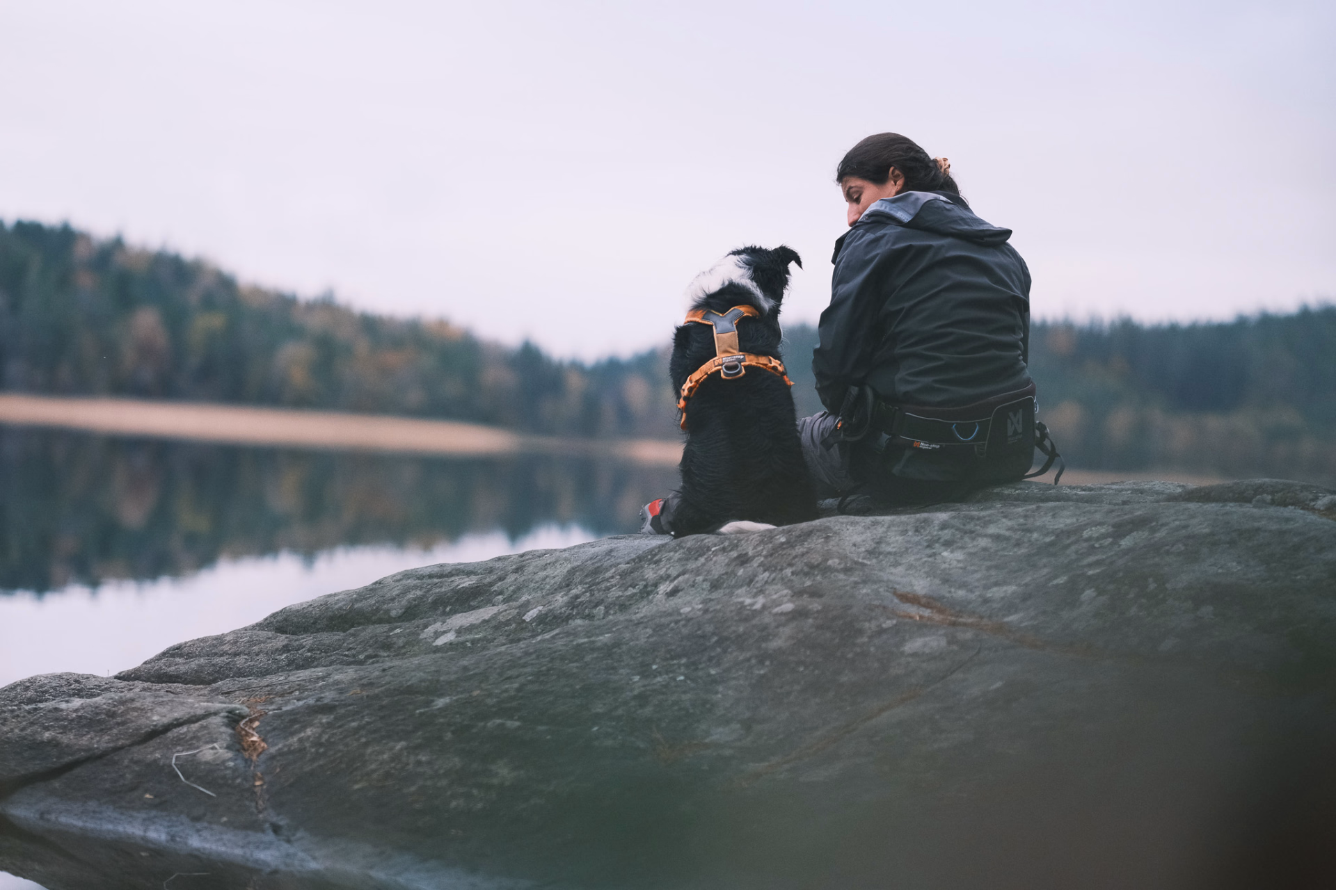 Photo voyage avec son chien © Photo voyage avec son chien