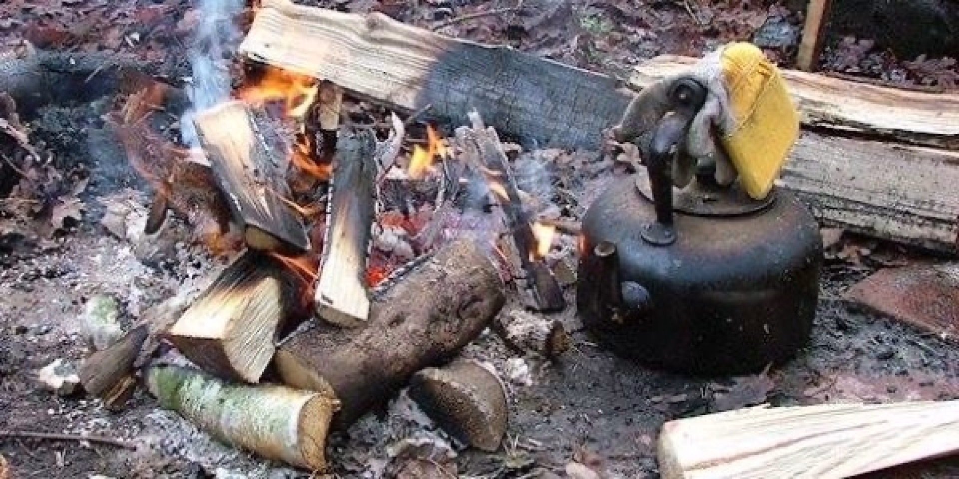 Aventure Bushcraft Famille en Laponie