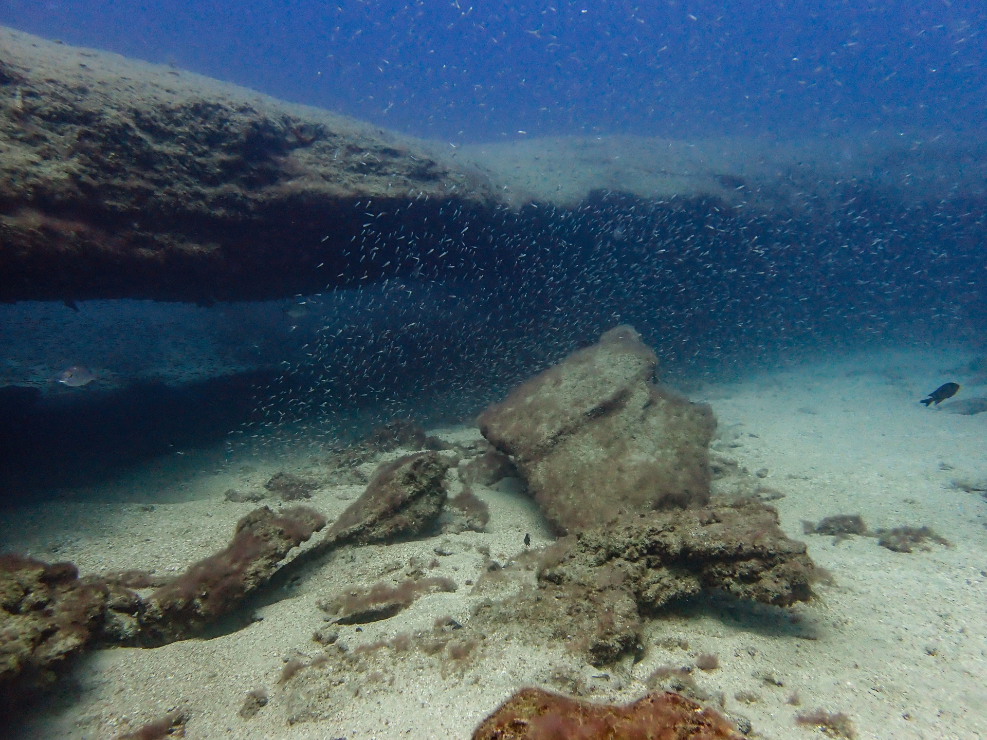 Les incontournables de Lanzarote : spécial plongeurs confirmés