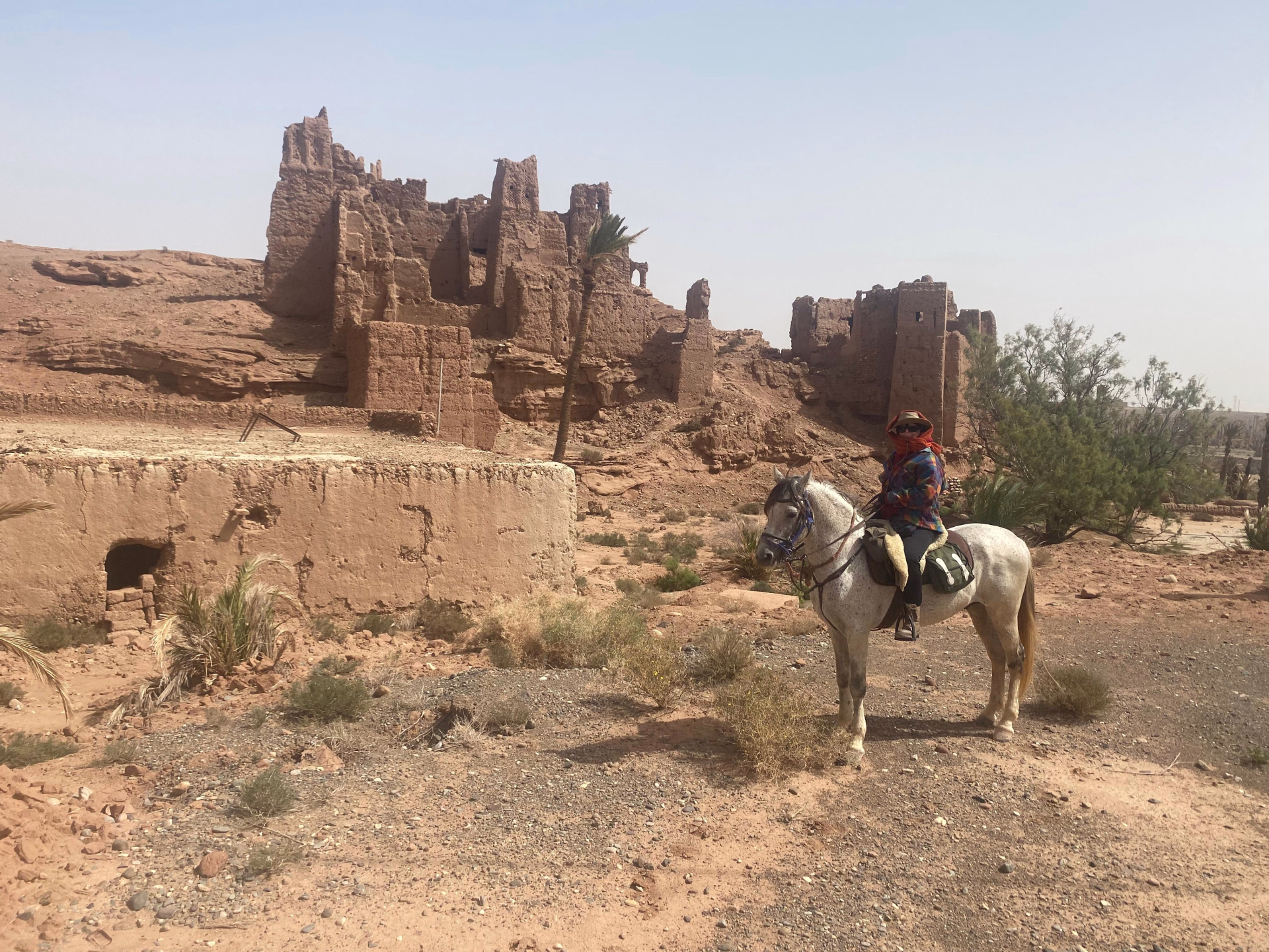 Le Sentier des 1000 Kasbahs : Découverte de la région de Ouarzazate