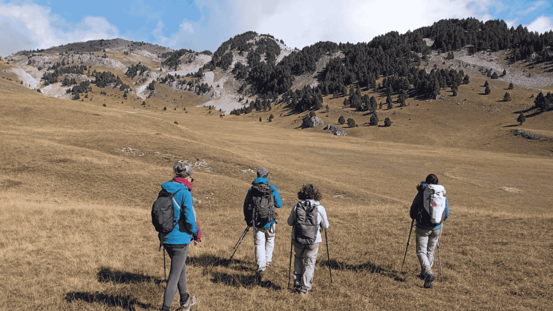Sur les traces du loup : à la rencontre de votre part sauvage