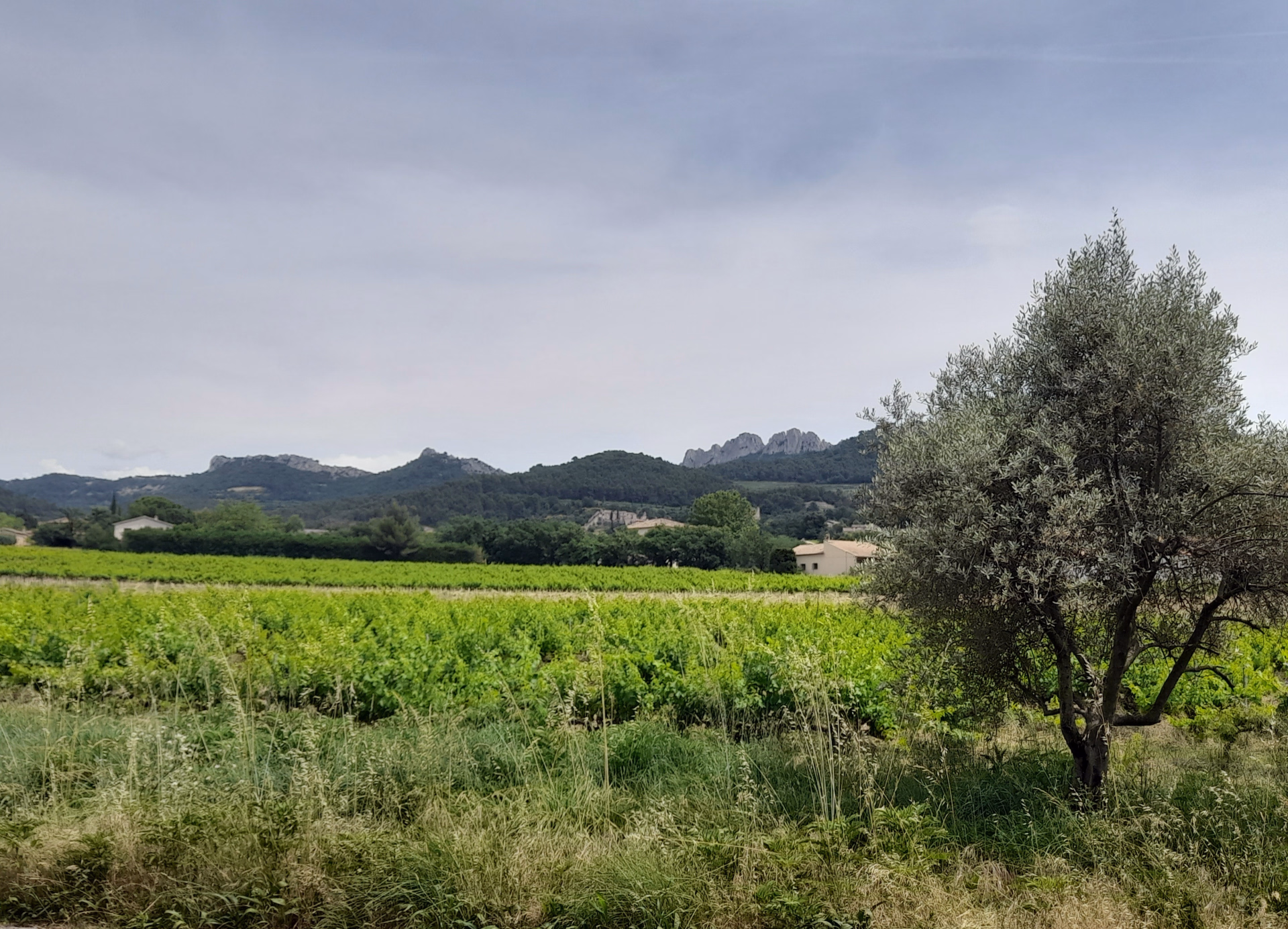 Séjour Gravel en Haute Provence