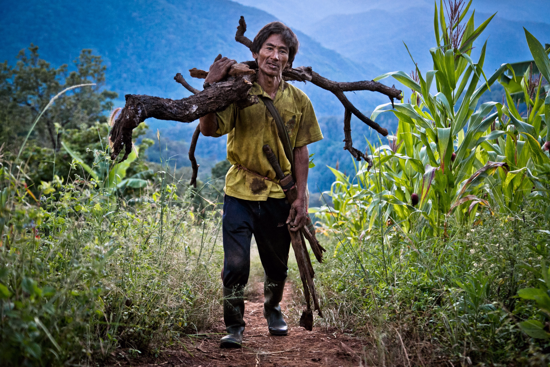 Excursion trek dans les montagnes de Chiang Dao