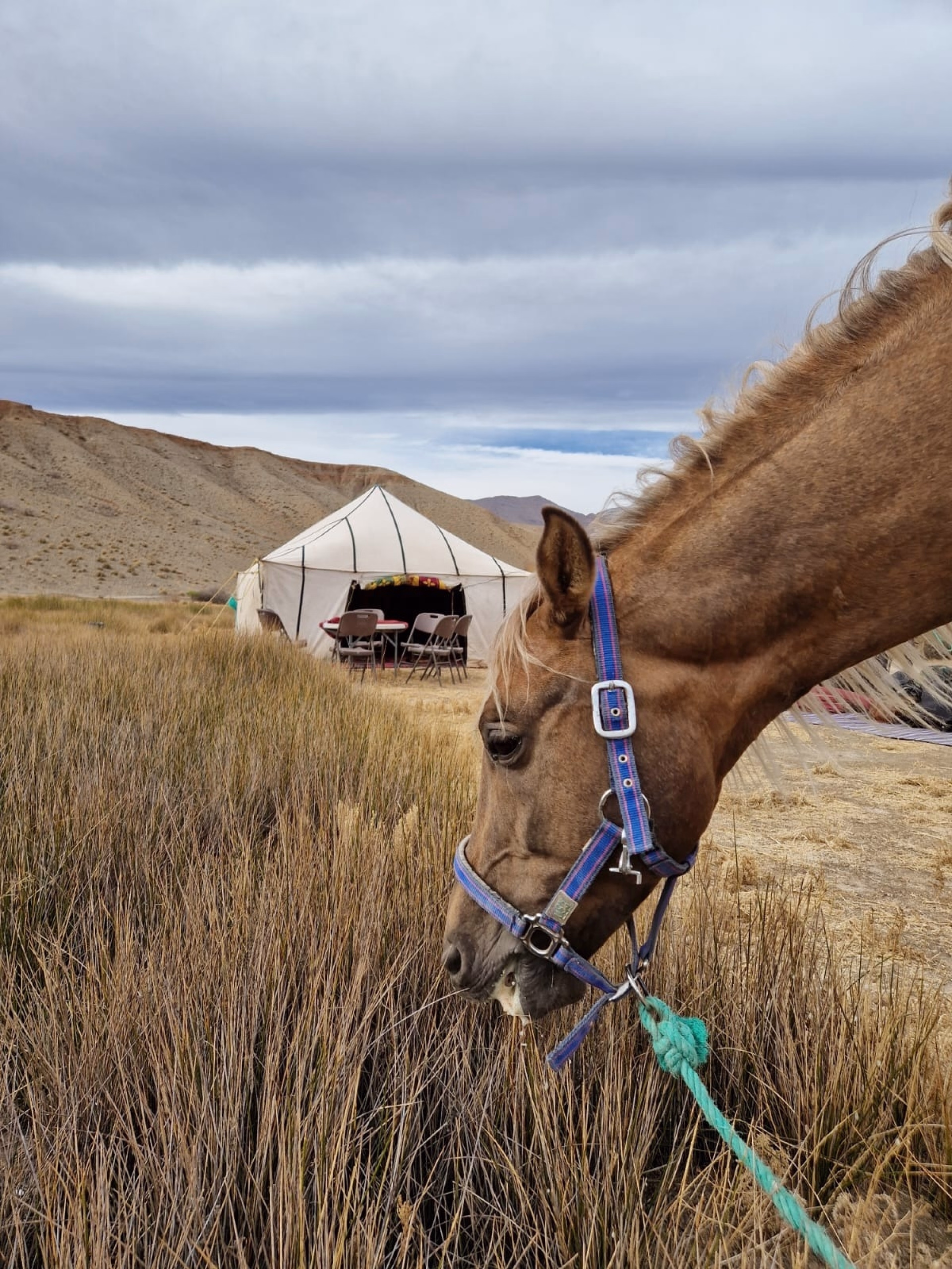 Le Sentier des 1000 Kasbahs : Découverte de la région de Ouarzazate