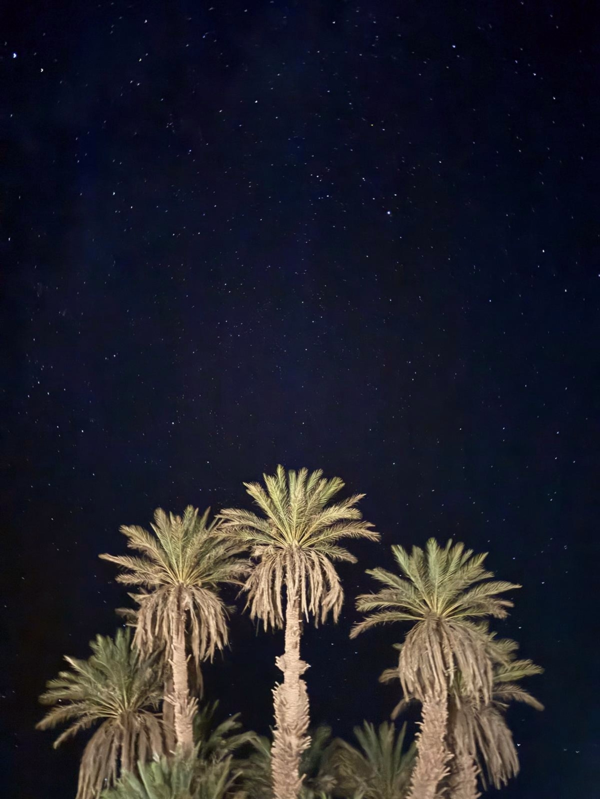 4 jours au cœur des dunes du Sahara marocain