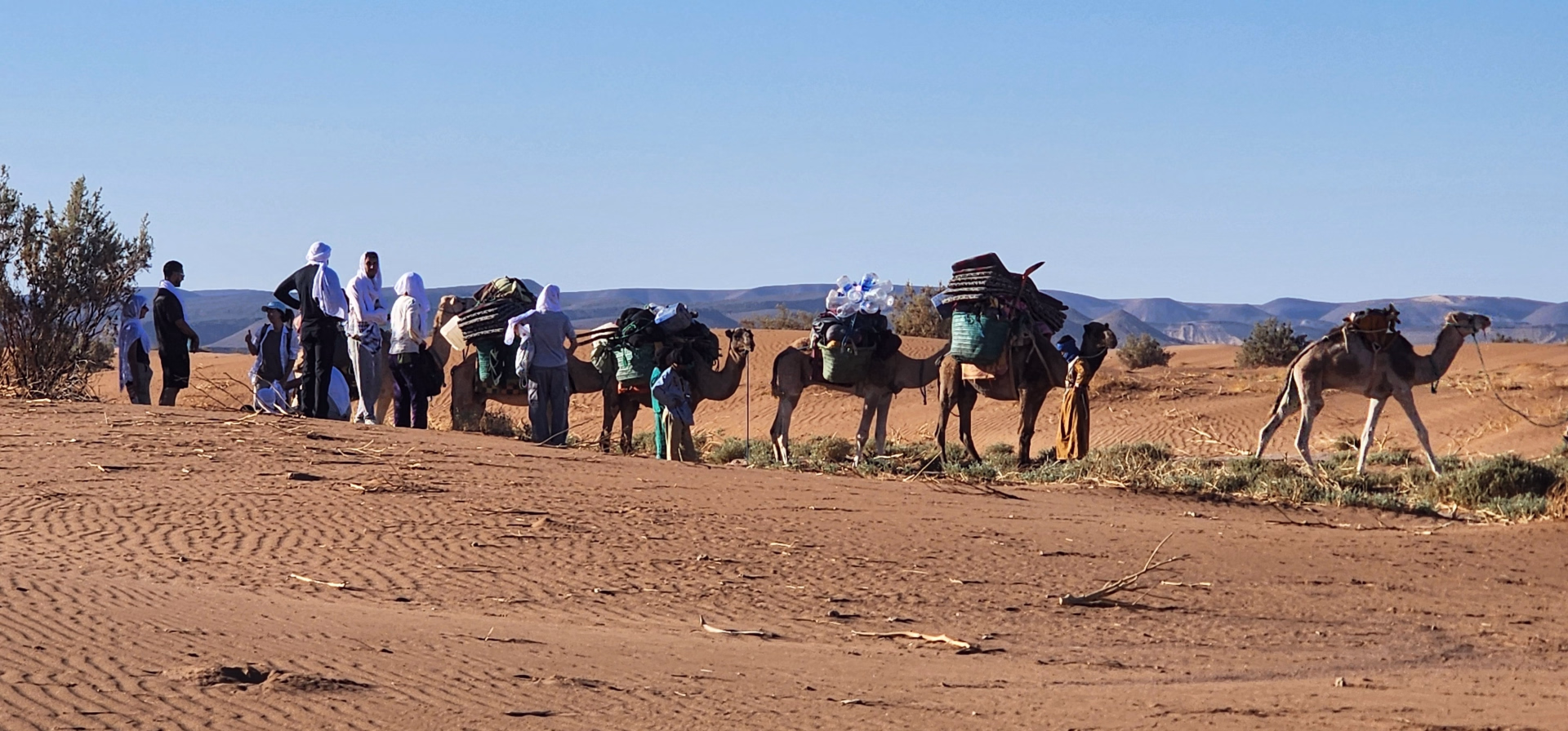 Trek de 8 jours dans le désert marocain et nuits sous les étoiles