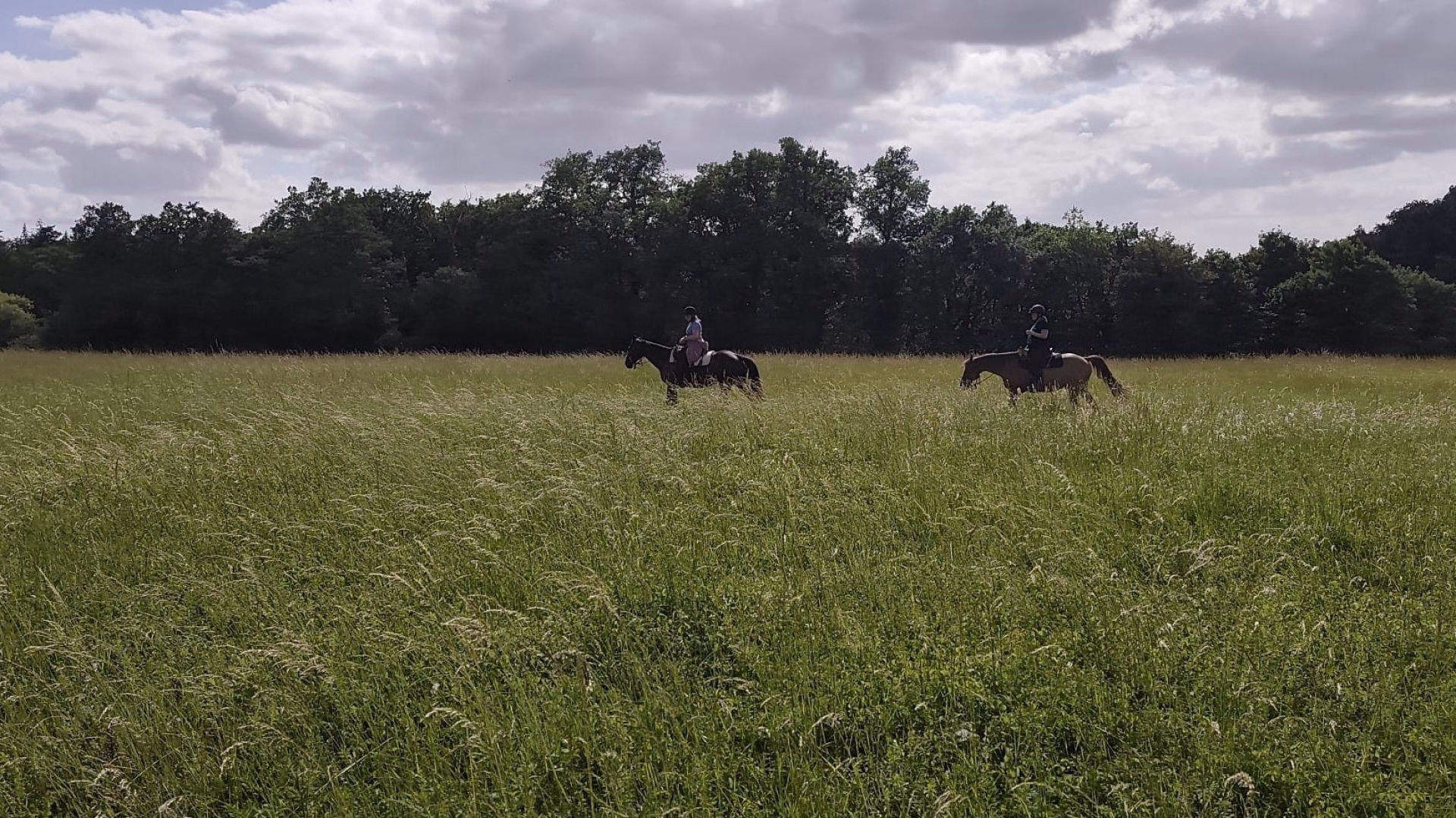 Triangle royal en Touraine