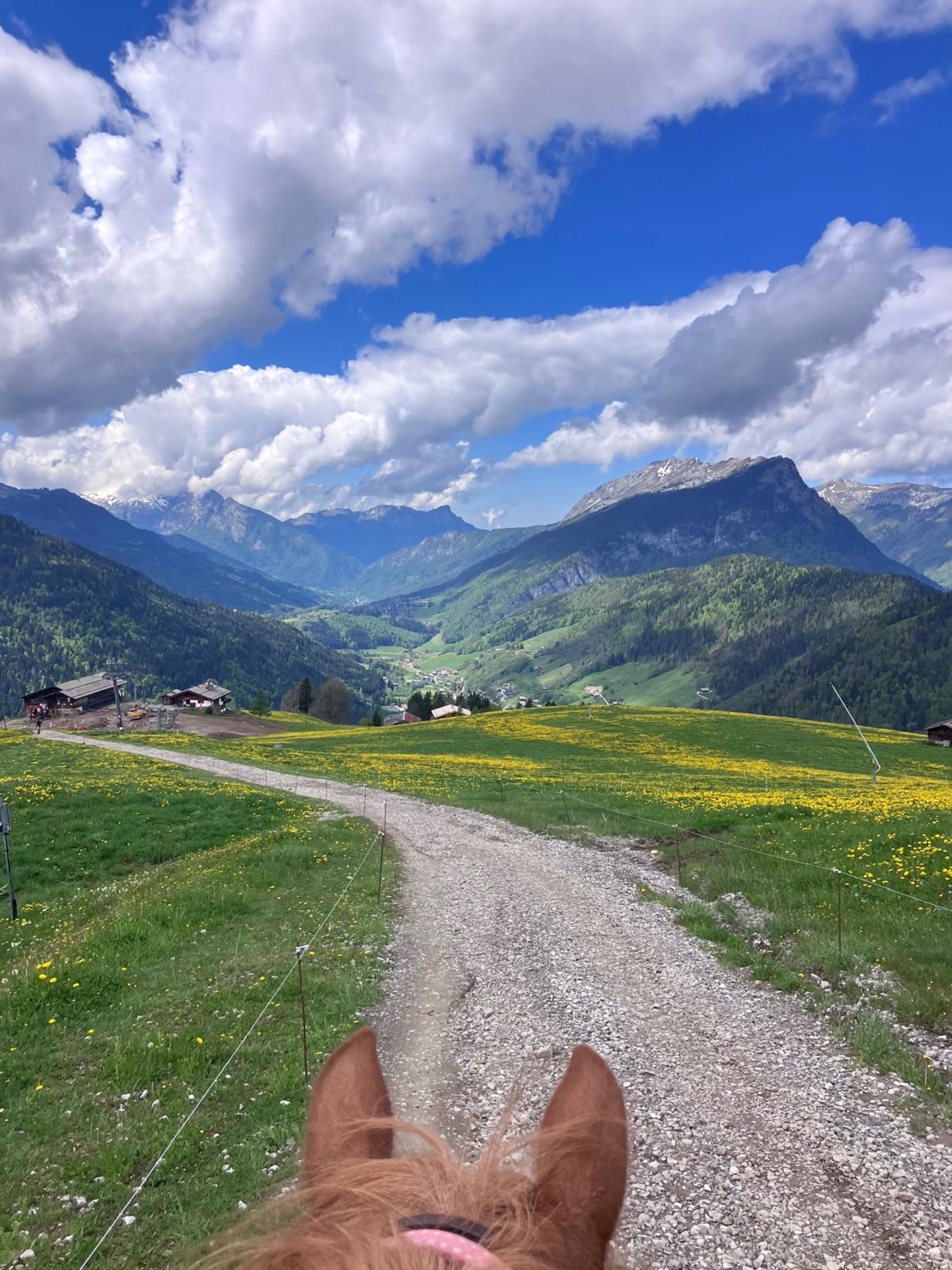 Randonnée équestre pour les apprentis randonneurs