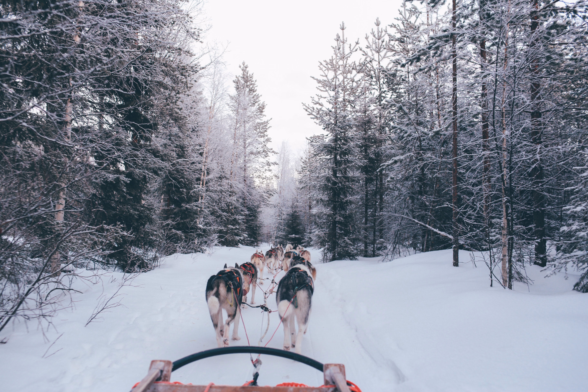 Nos séjours multiactivités pour cet hiver au Canada