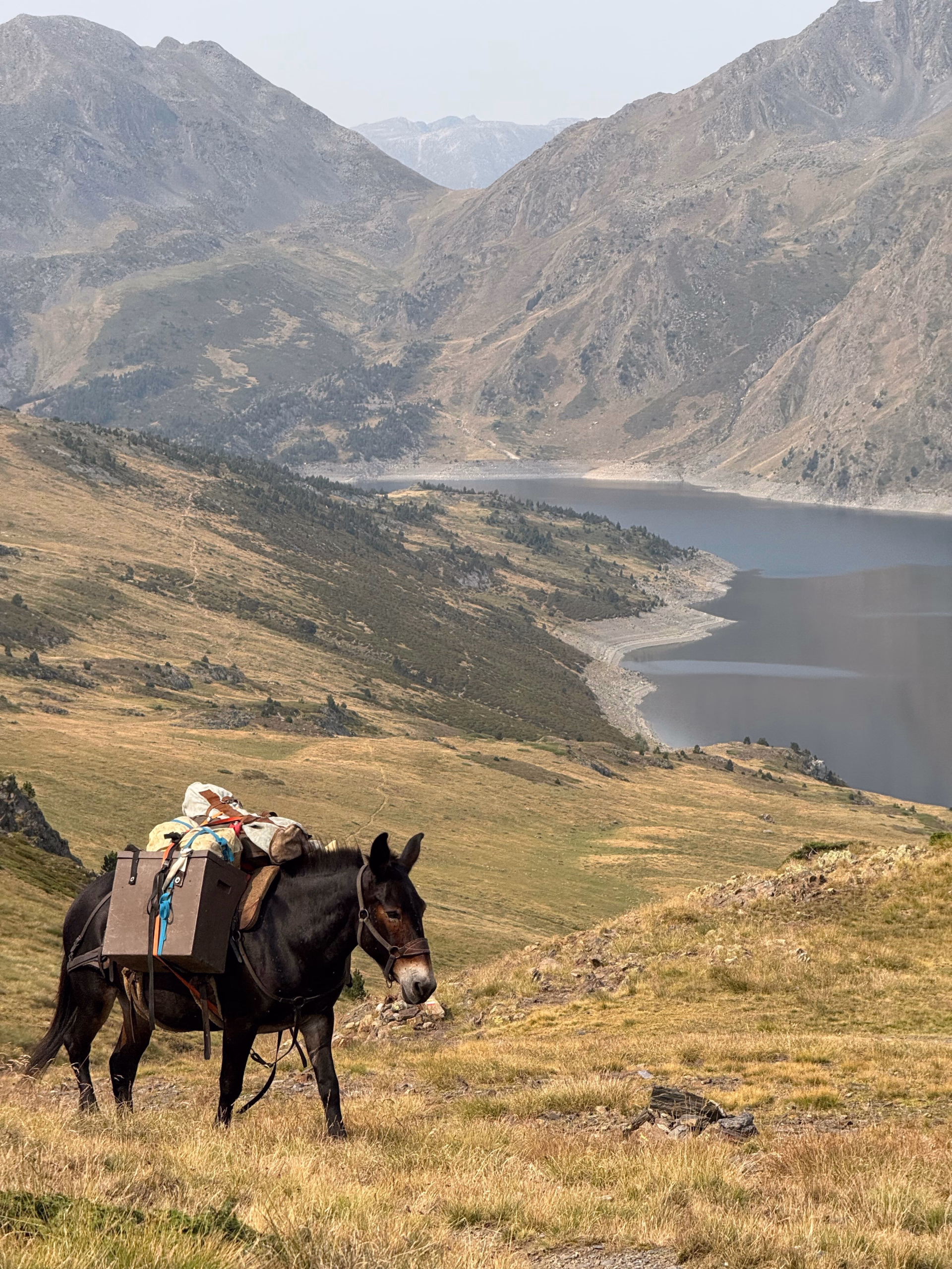 La randonnée à cheval des lacs de montagne