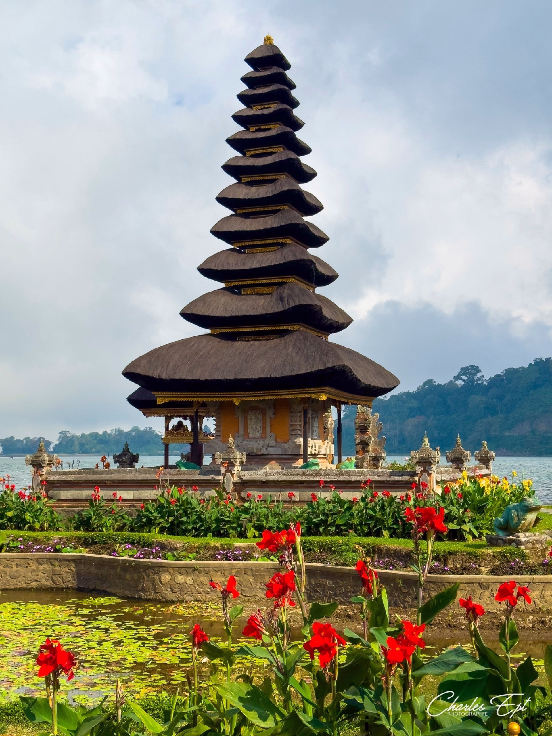 Voyageur solo : Safari plongée & circuit terrestre à Bali - 12 nuits