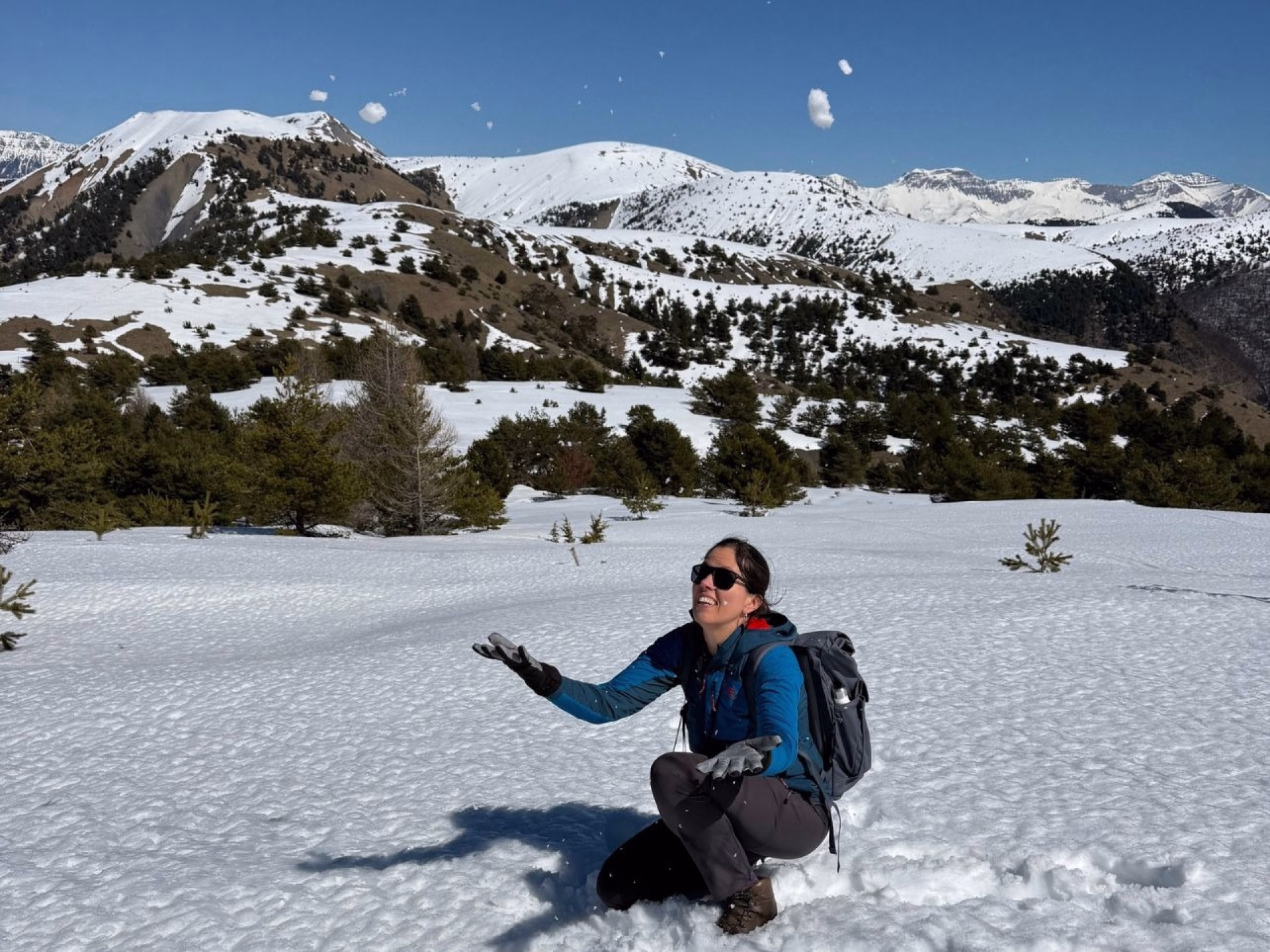 Une aventure sur les traces des loups dans les Alpes