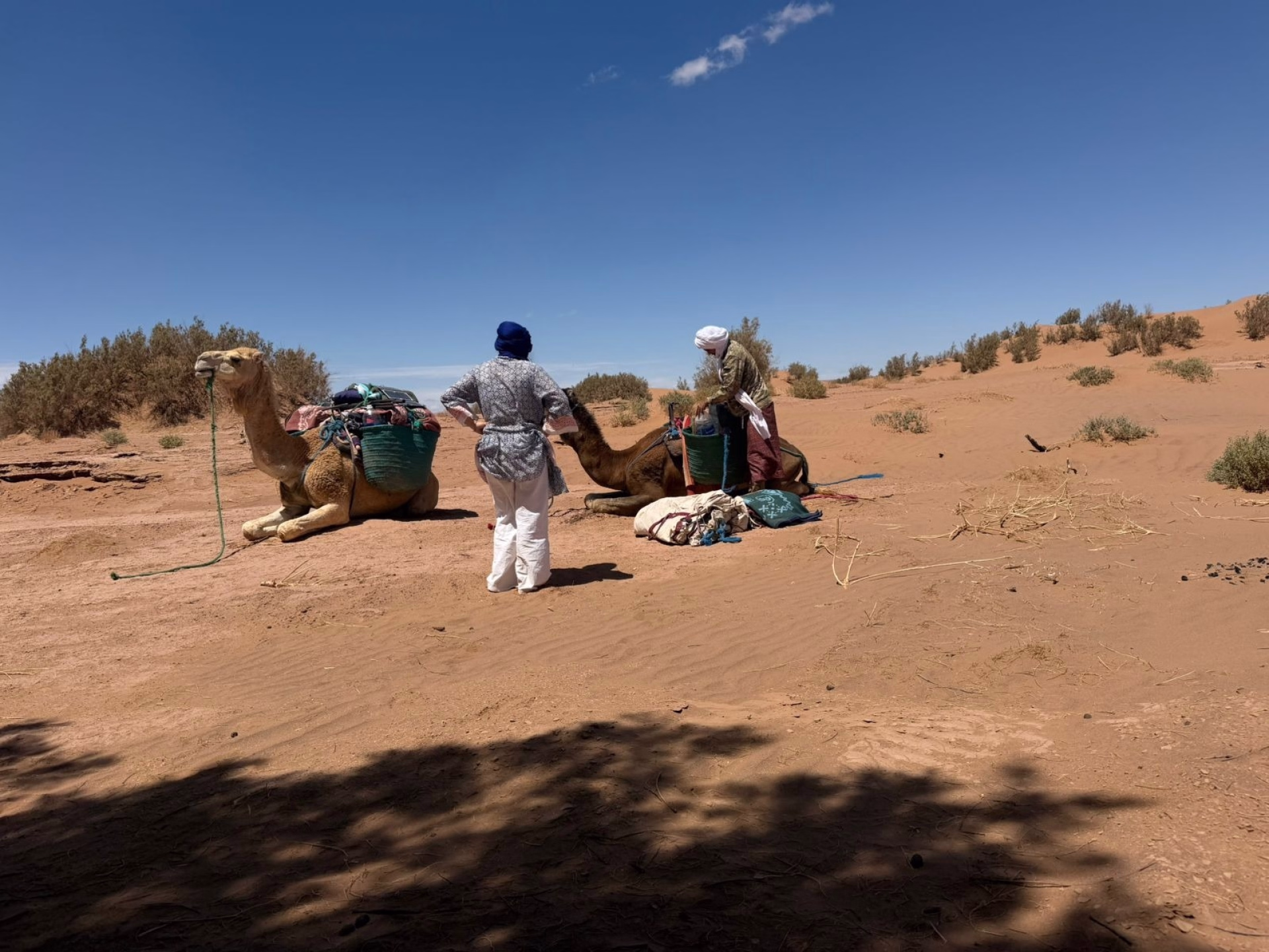 Trek désert Maroc : une aventure au rythme des nomades
