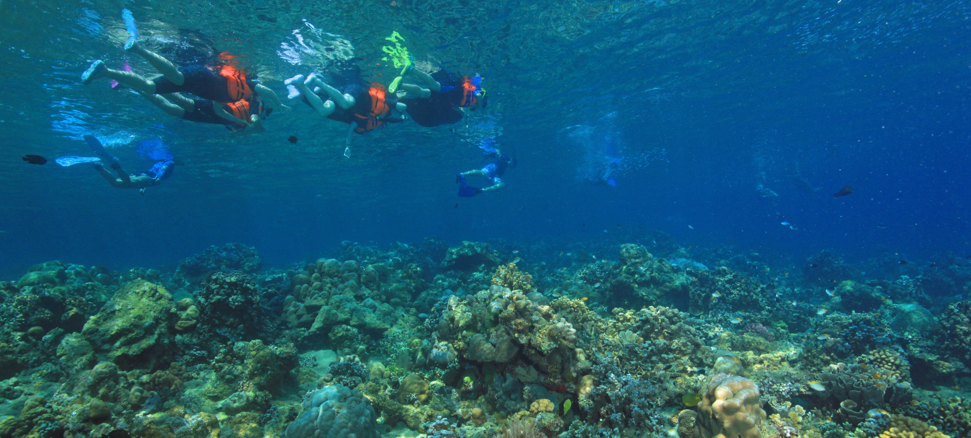 Safari snorkeling et circuit terrestre à Bali