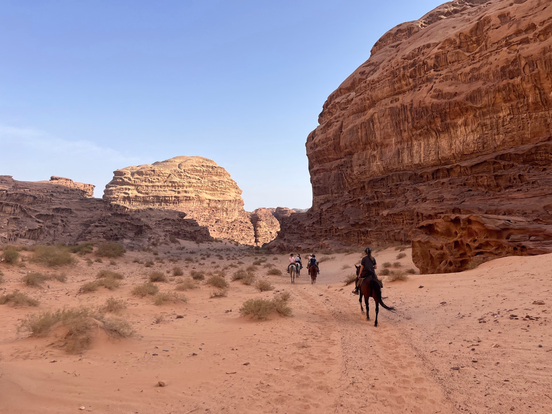 Randonnée à cheval au coeur de la Jordanie - Spécial Réveillon
