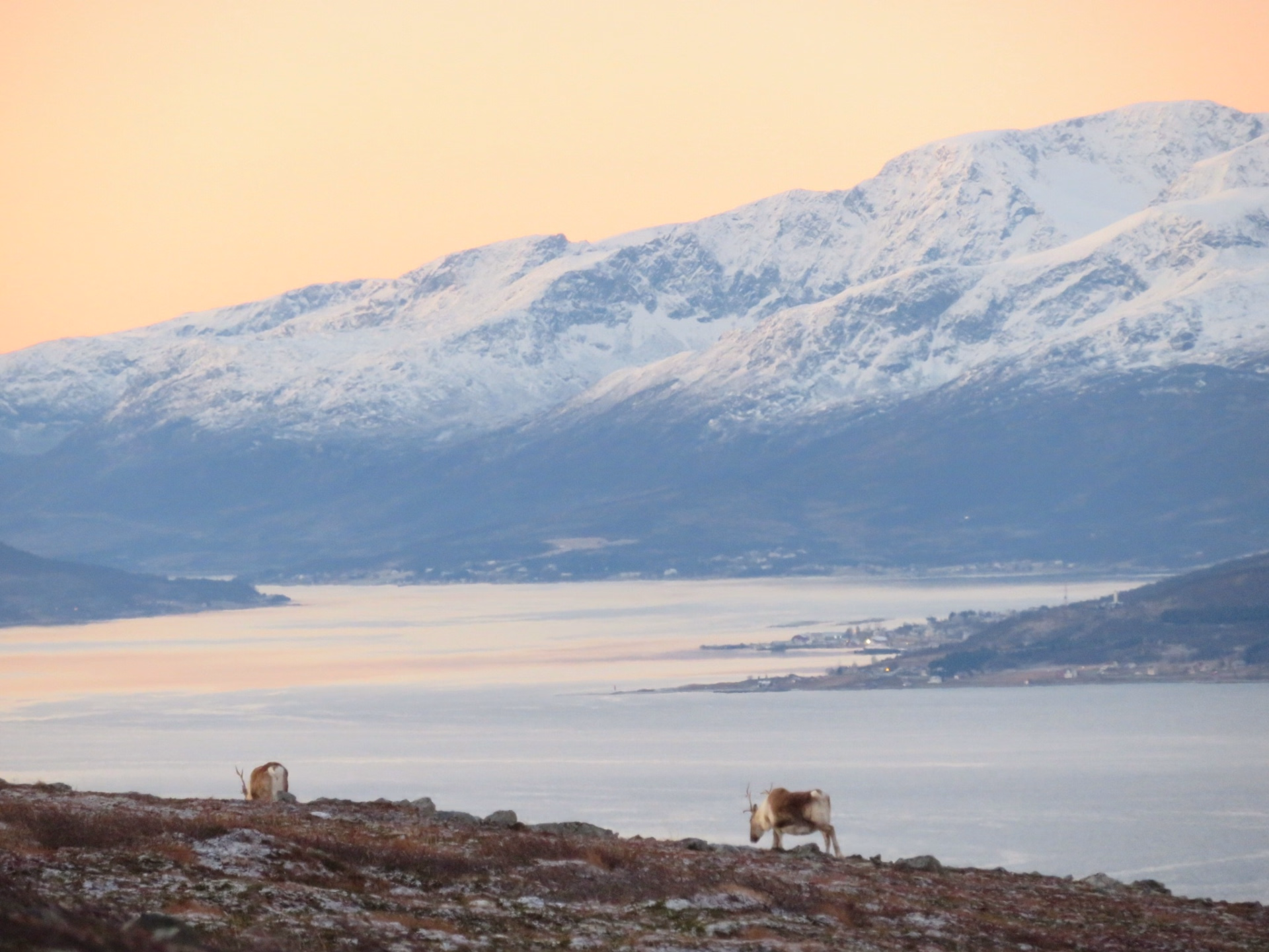 Lofoten : odyssée hivernale en voilier, raquettes, aurores boréales