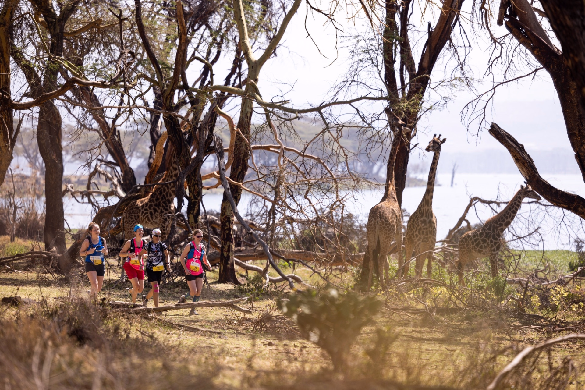 Kimbia Kenya, course trail à étapes au cœur du Kenya