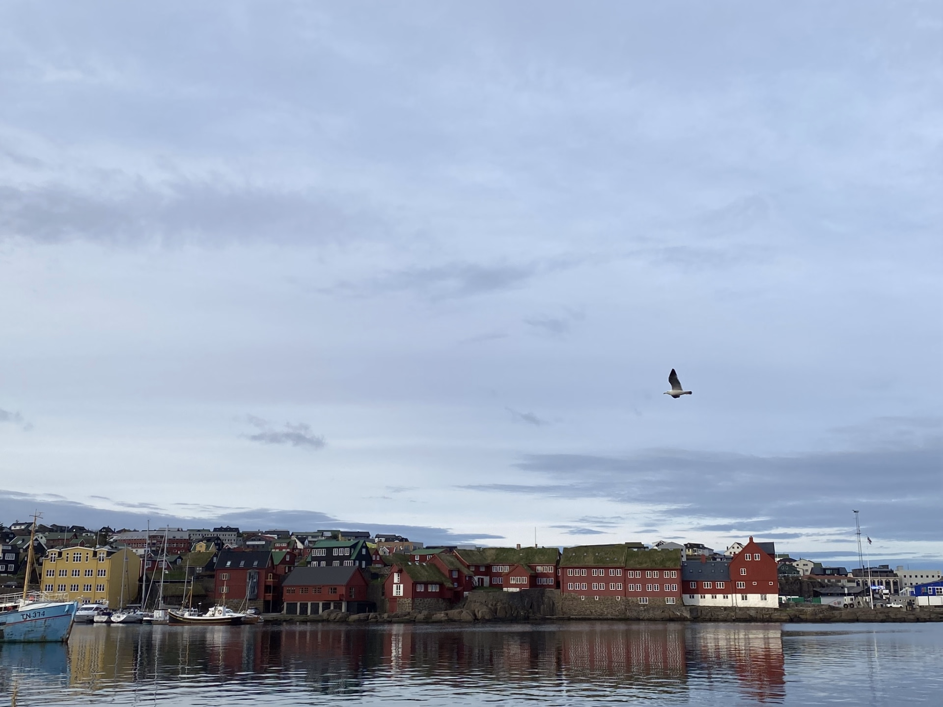 Iles Féroé en liberté : autotour & randonnées