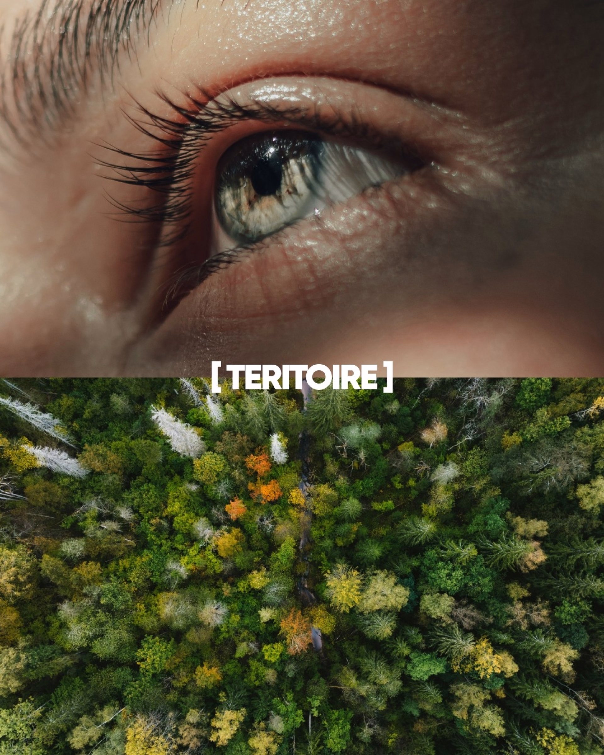 Stage trail en Auvergne au cœur du massif du Sancy