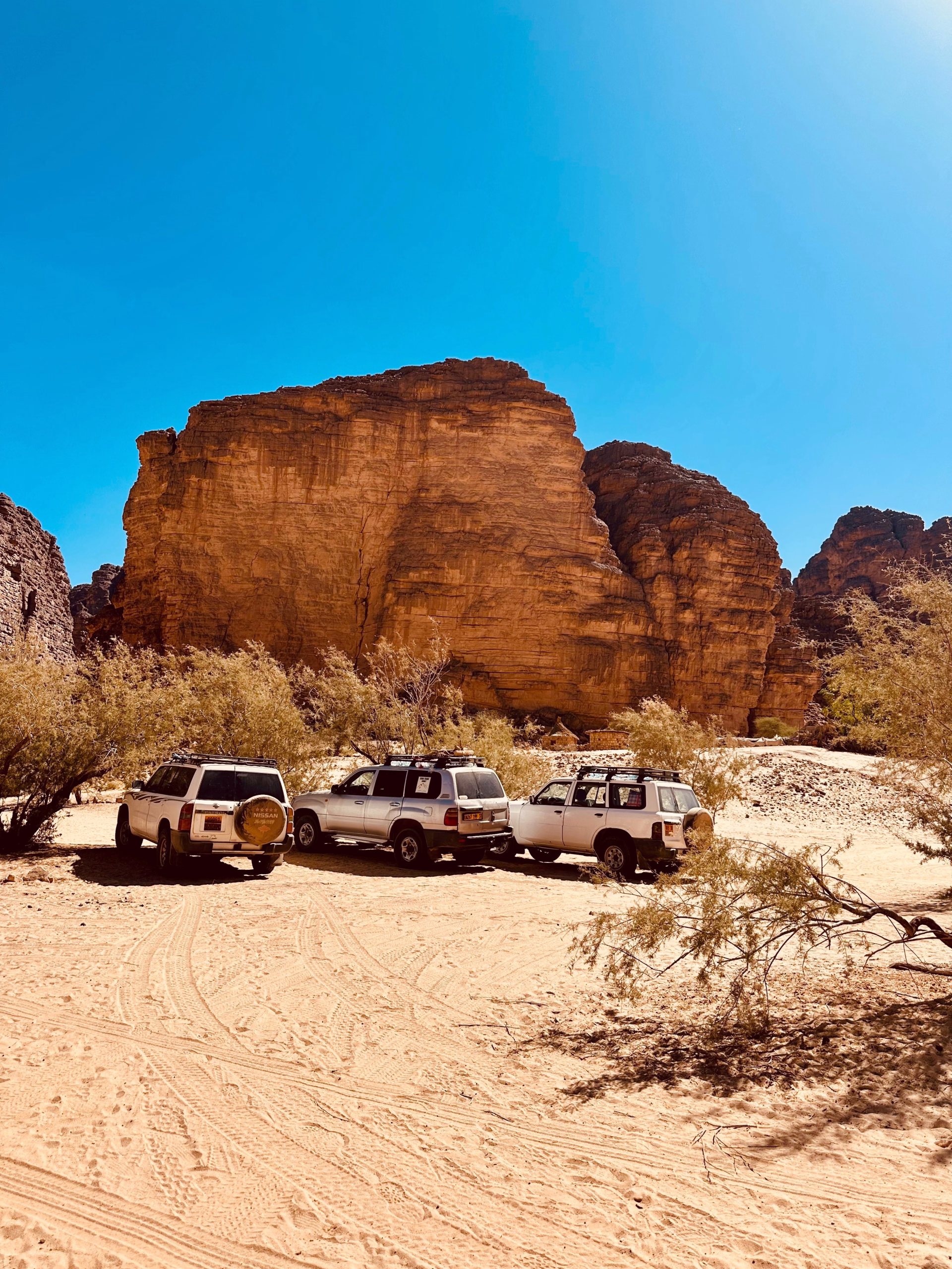 Yoga et aventure douce en Algérie : Sahara, Tassili n’Ajjer, Alger