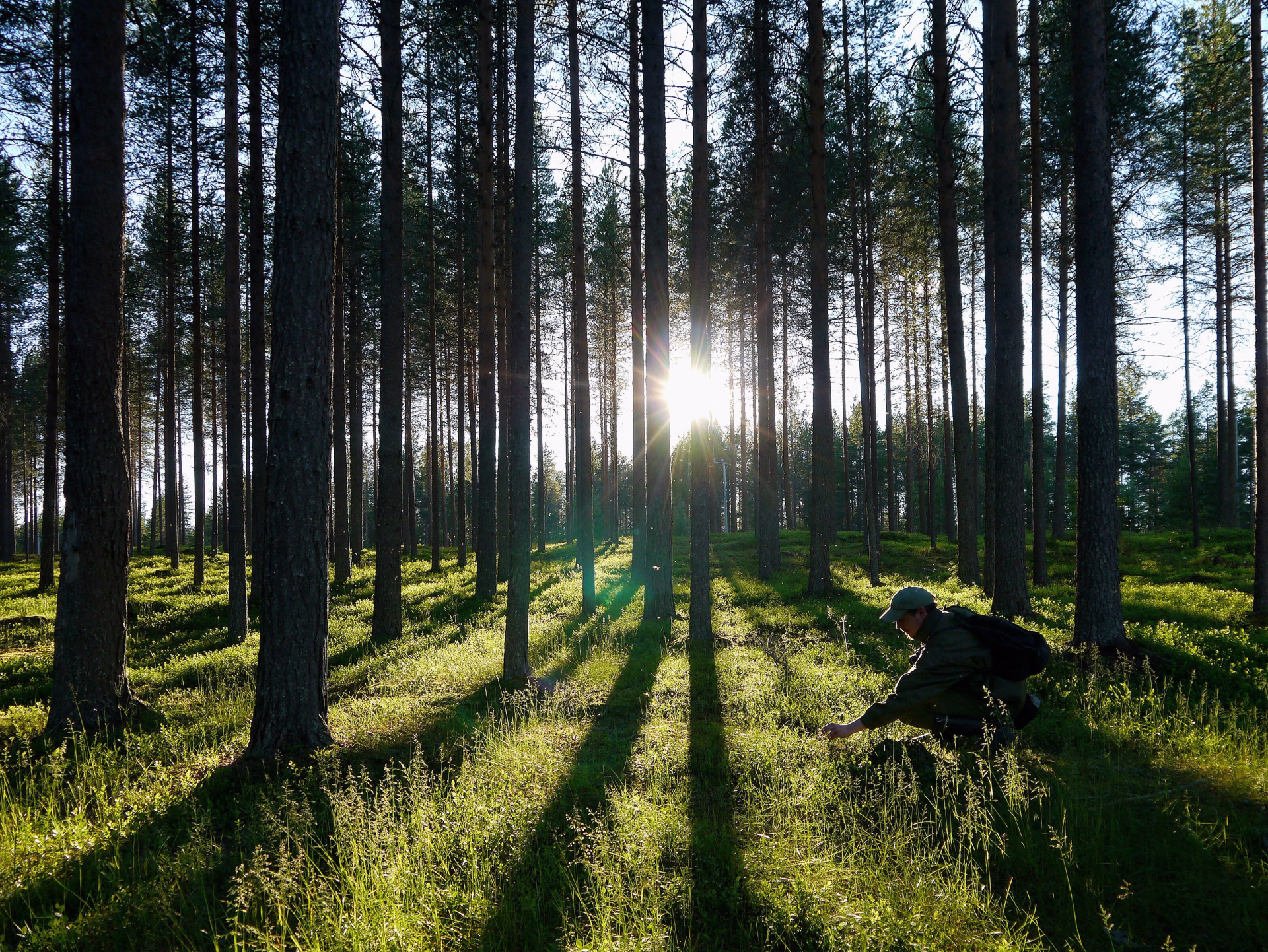 Évasion en Finlande : Nature, Action & Authenticité
