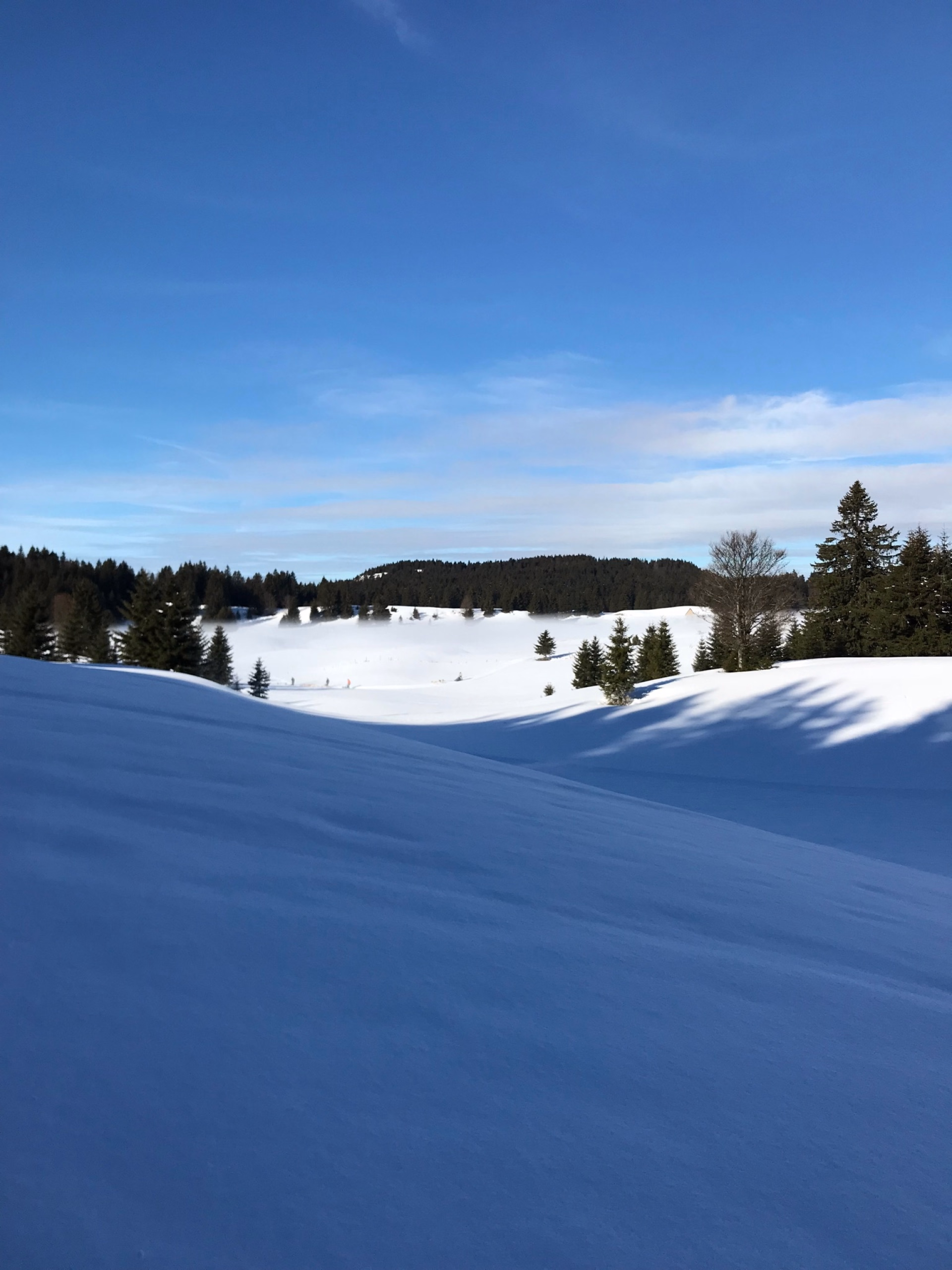 Stage de survie grand froid dans le Jura en igloo