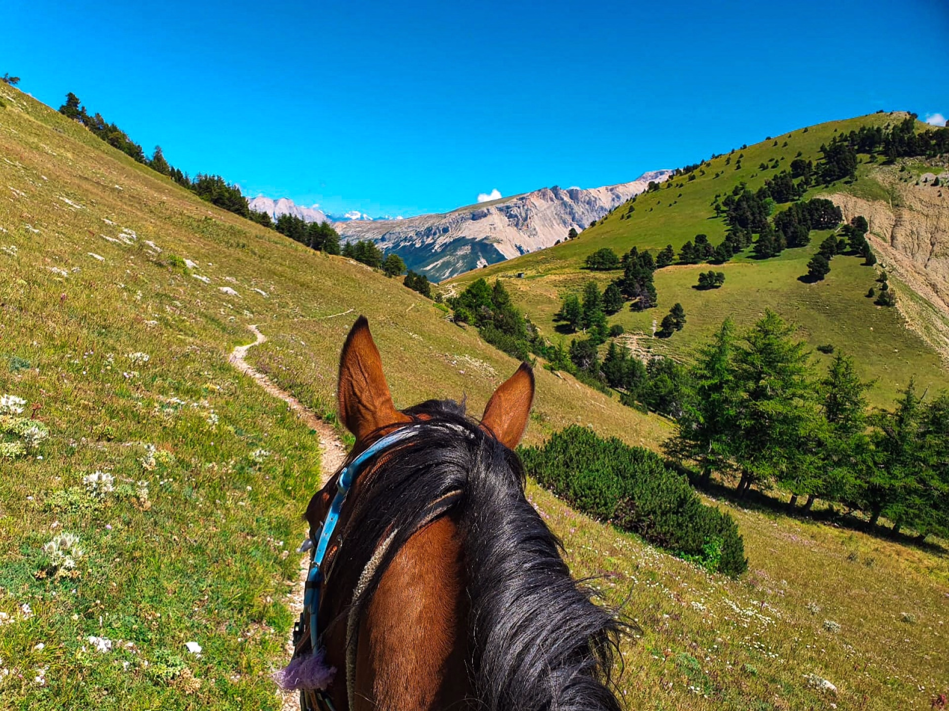 3 jours à cheval au cœur des Hautes-Alpes
