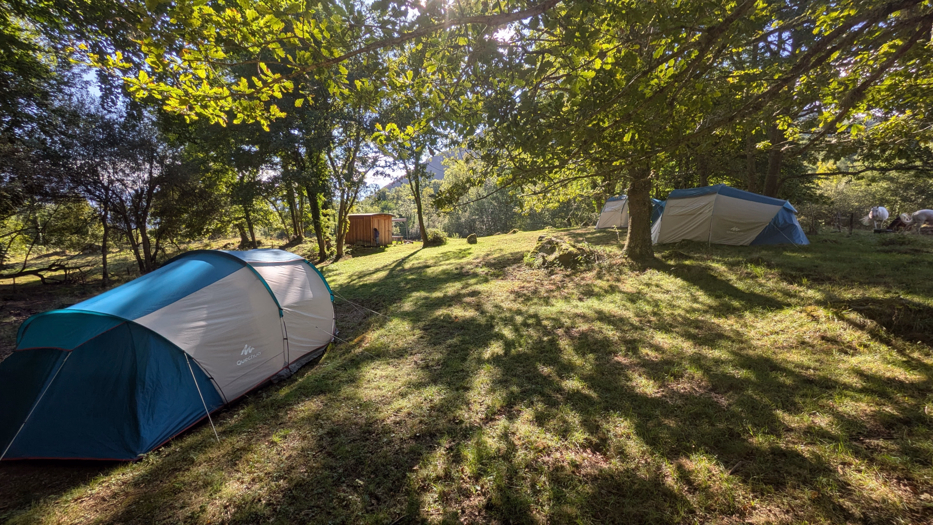 ⛺️ Camping - Jours 1 à 5