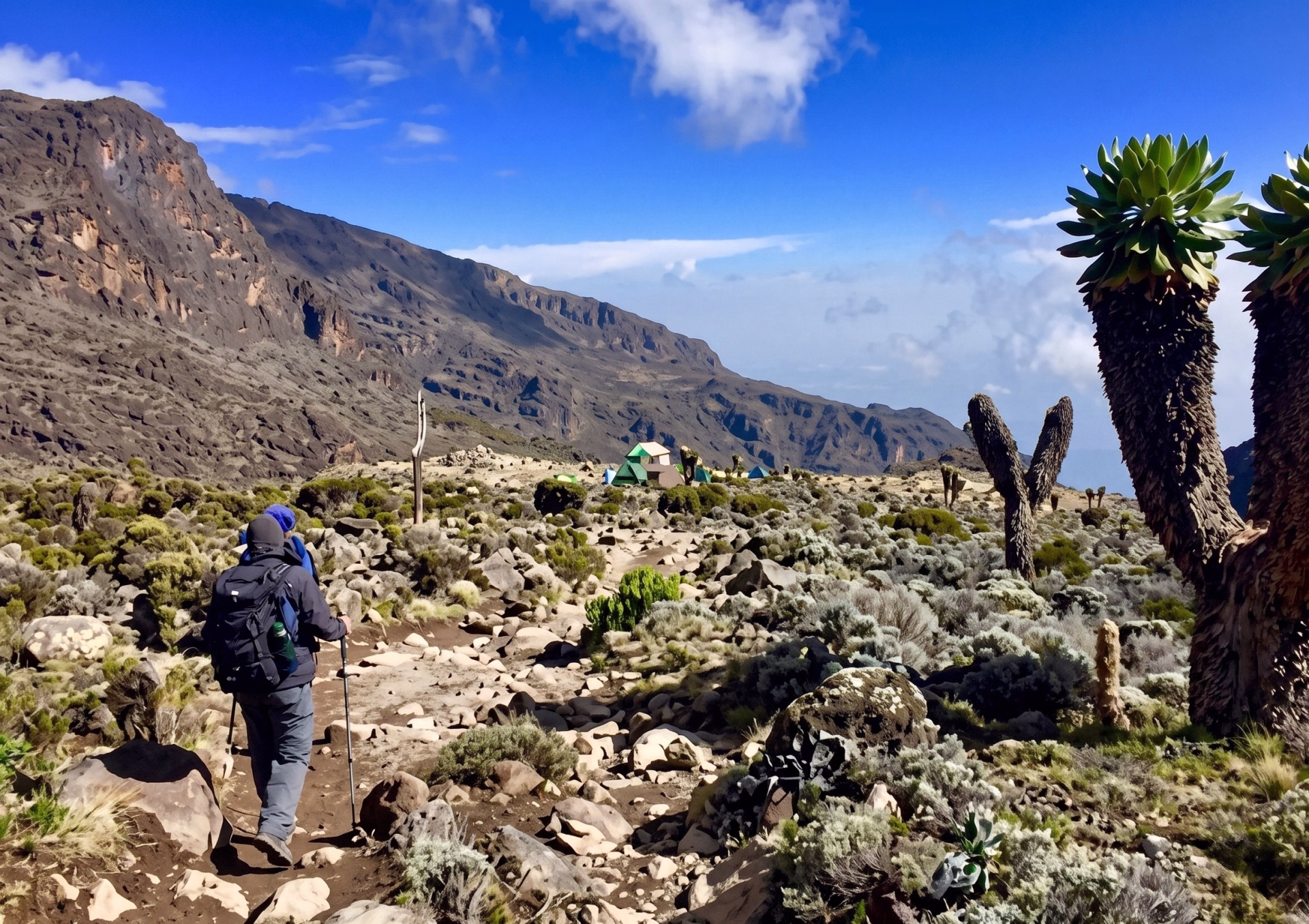 Trek de 6 jours en groupe au Kilimandjaro - Voie Machame