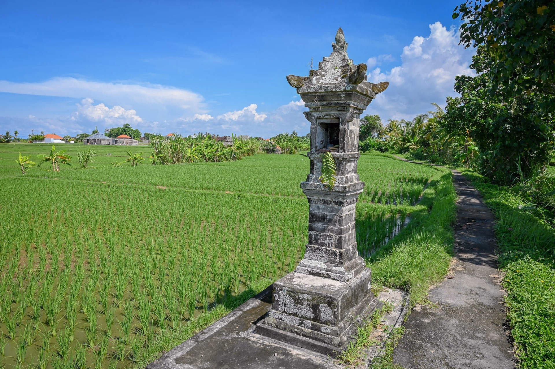 Tour de l'ouest de Bali à VTT : rizières, volcans et côte sauvage