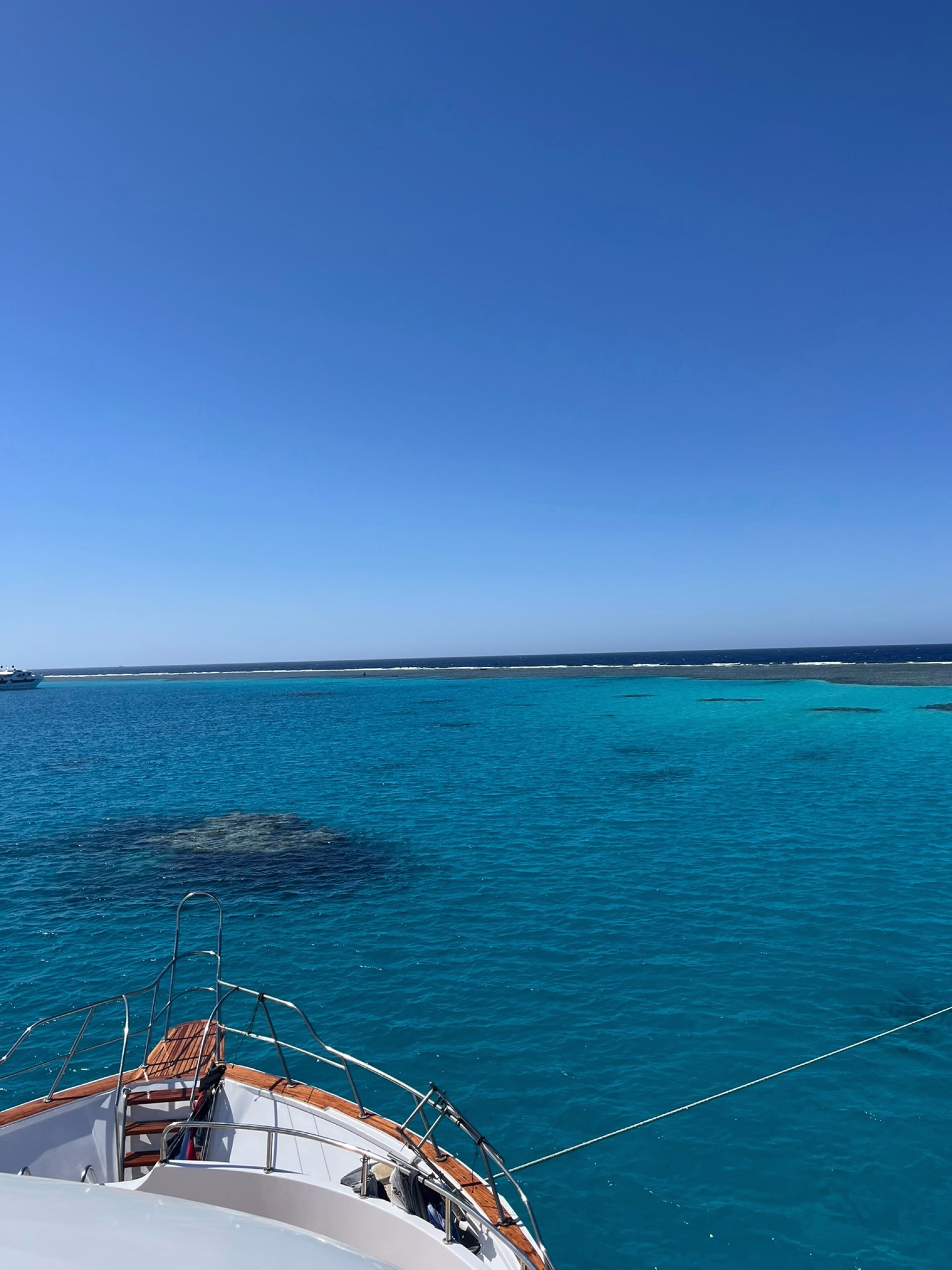 Croisière dauphins & récifs au cœur de la Mer Rouge
