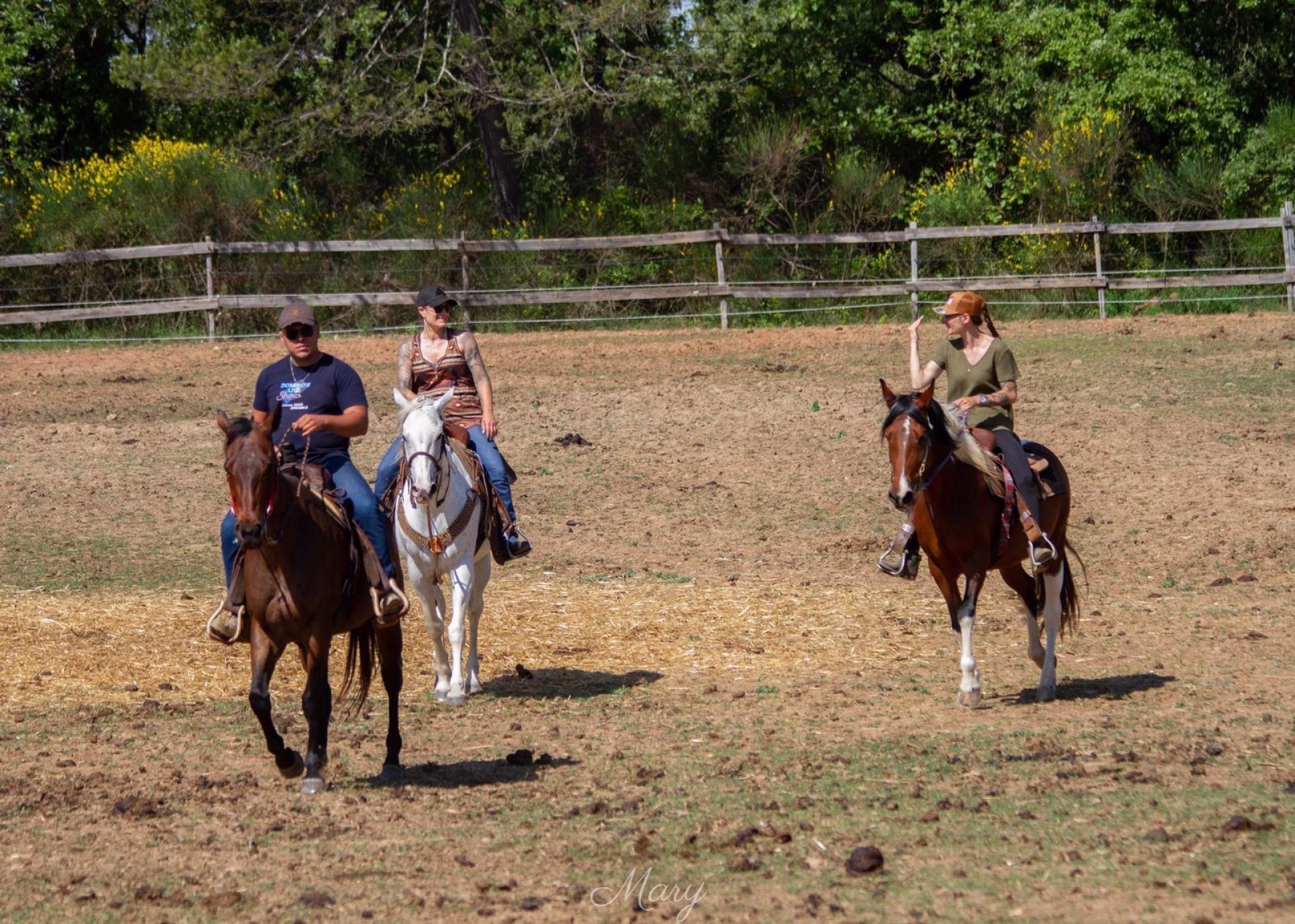 Week-end d'initiation au western et immersion ranch all inclusive