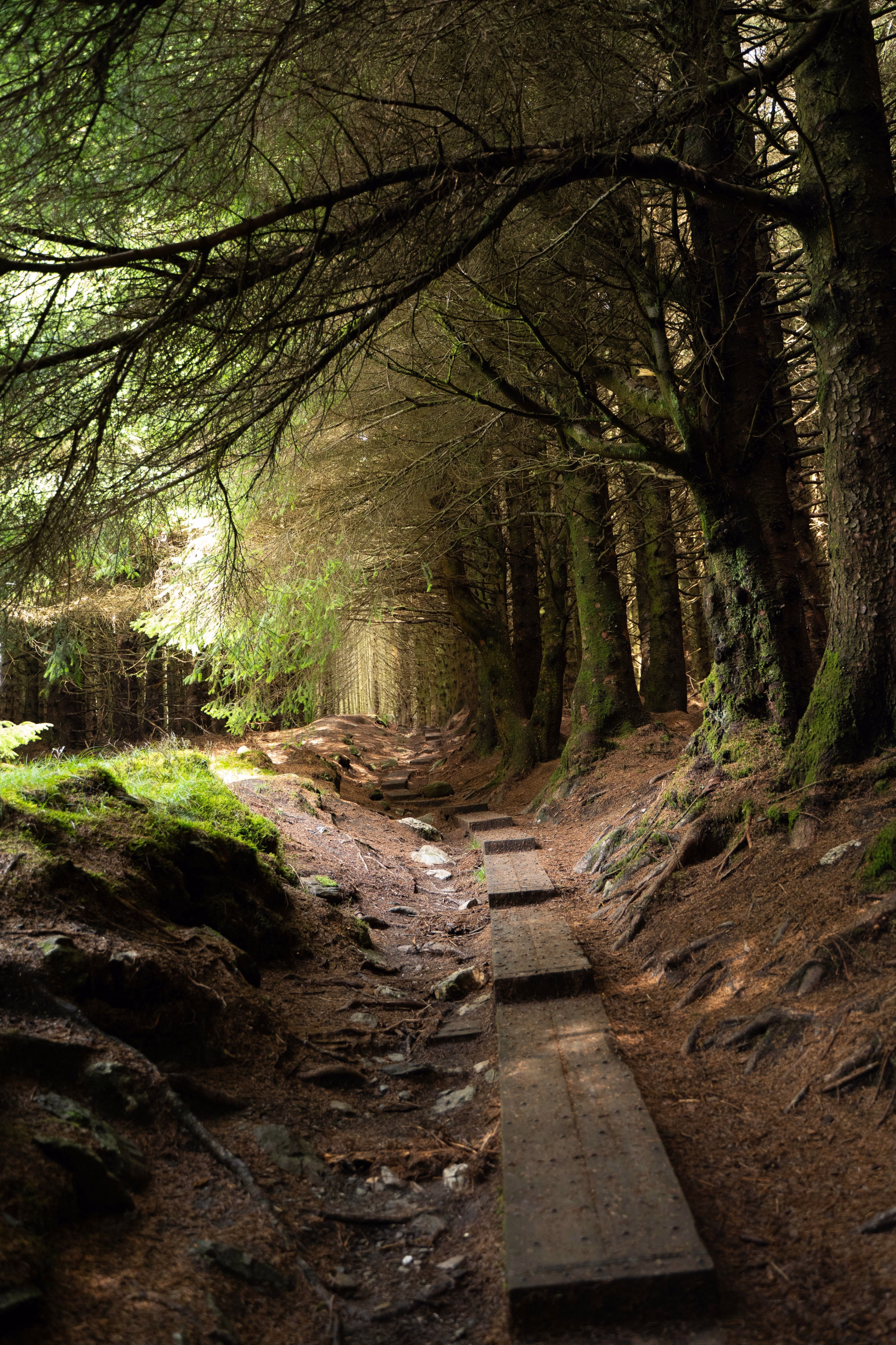 Irlande en pleine conscience