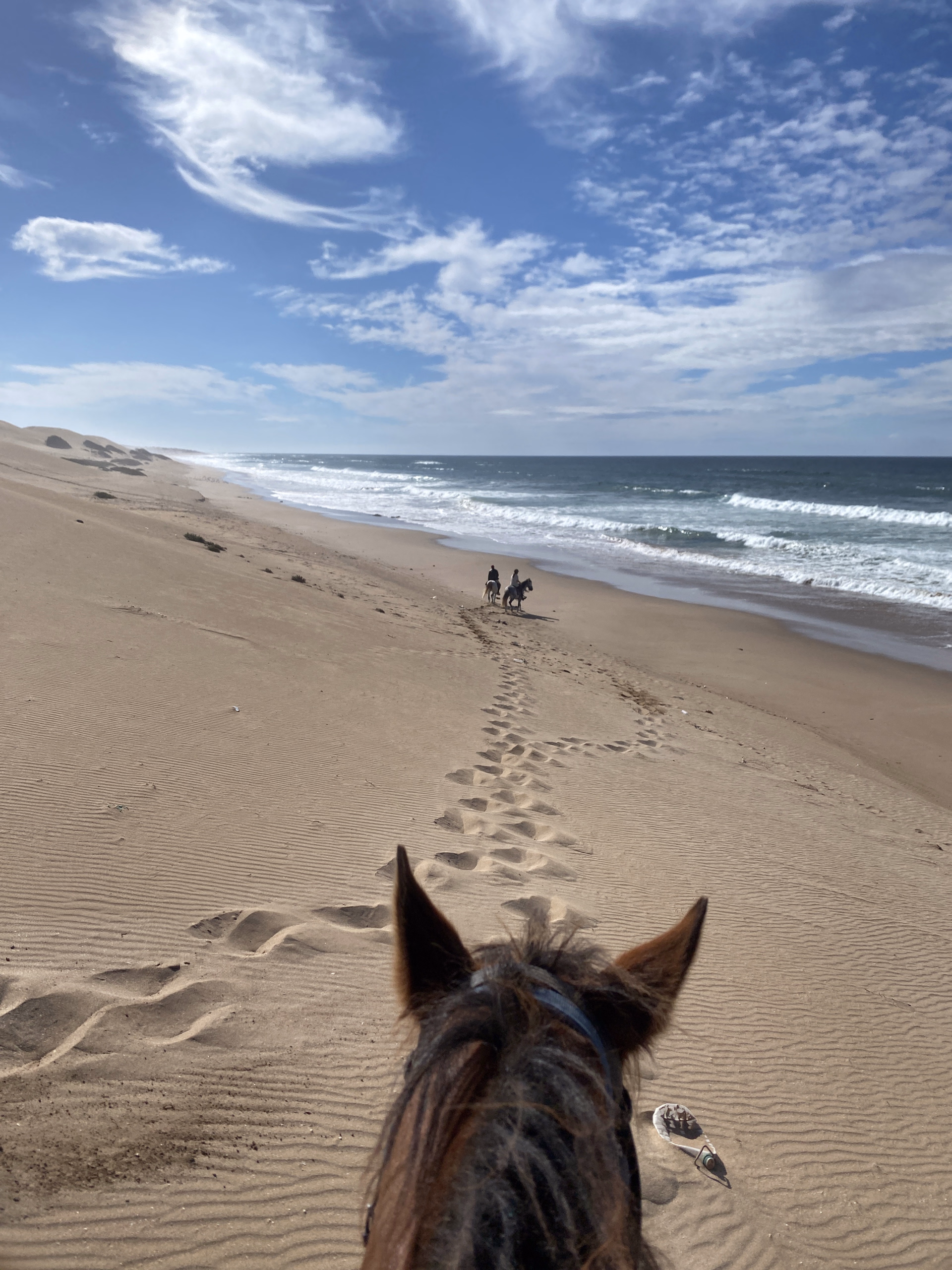 Randonnée équestre entre plages, déserts et palmeraies au Maroc