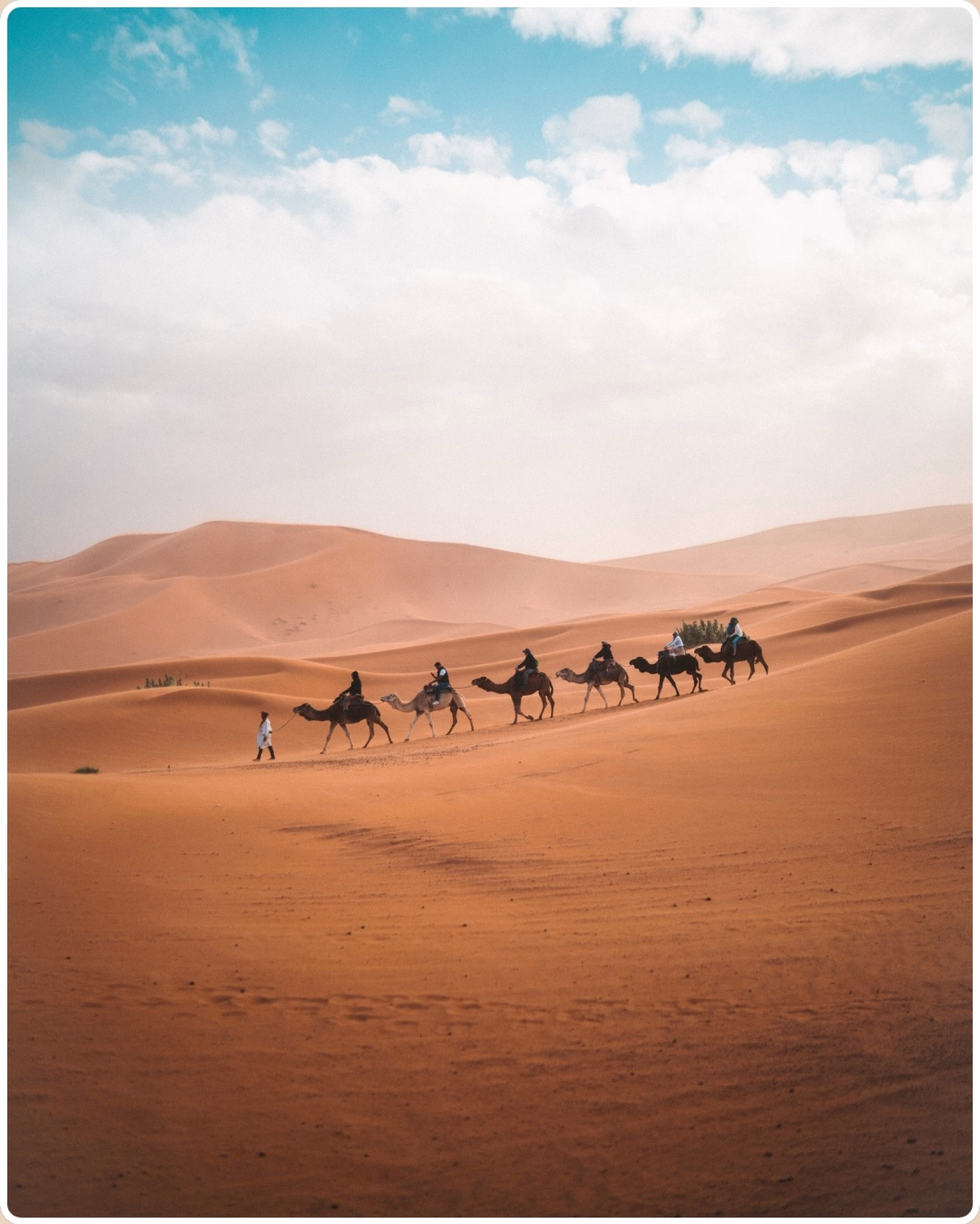 Retraite Yoga & Surf : Voyage initiatique au Maroc