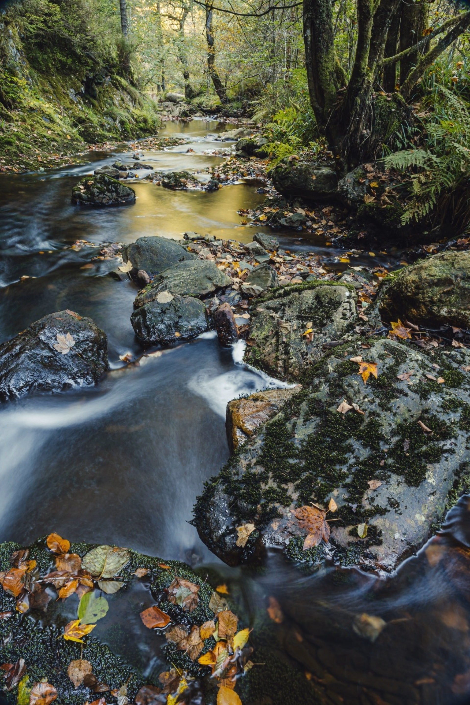 2 jours dans la nature du Parc Naturel des 2 Ourthes